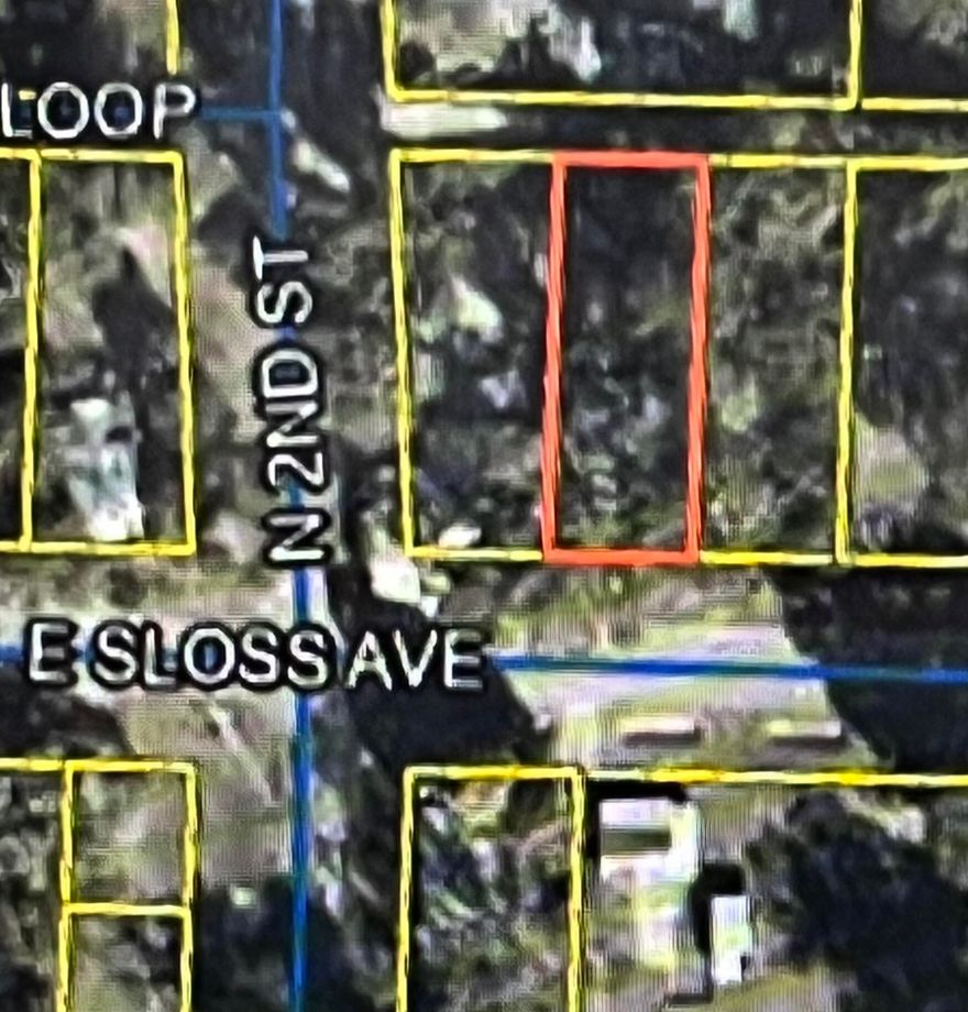 Vacant wooded land on paved road in DeFuniak Springs City limits.  Sign on property.