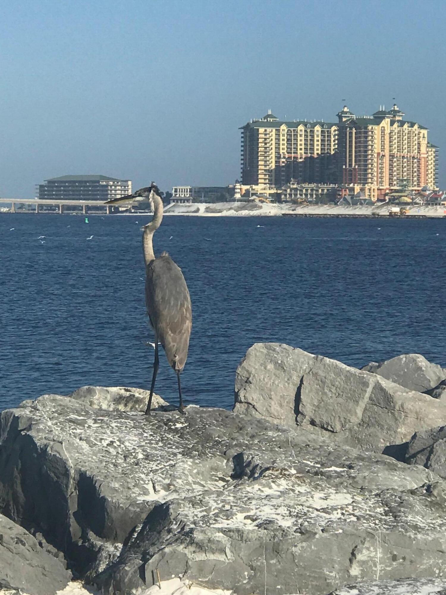 CANAL PLACE PH 2 - Residential