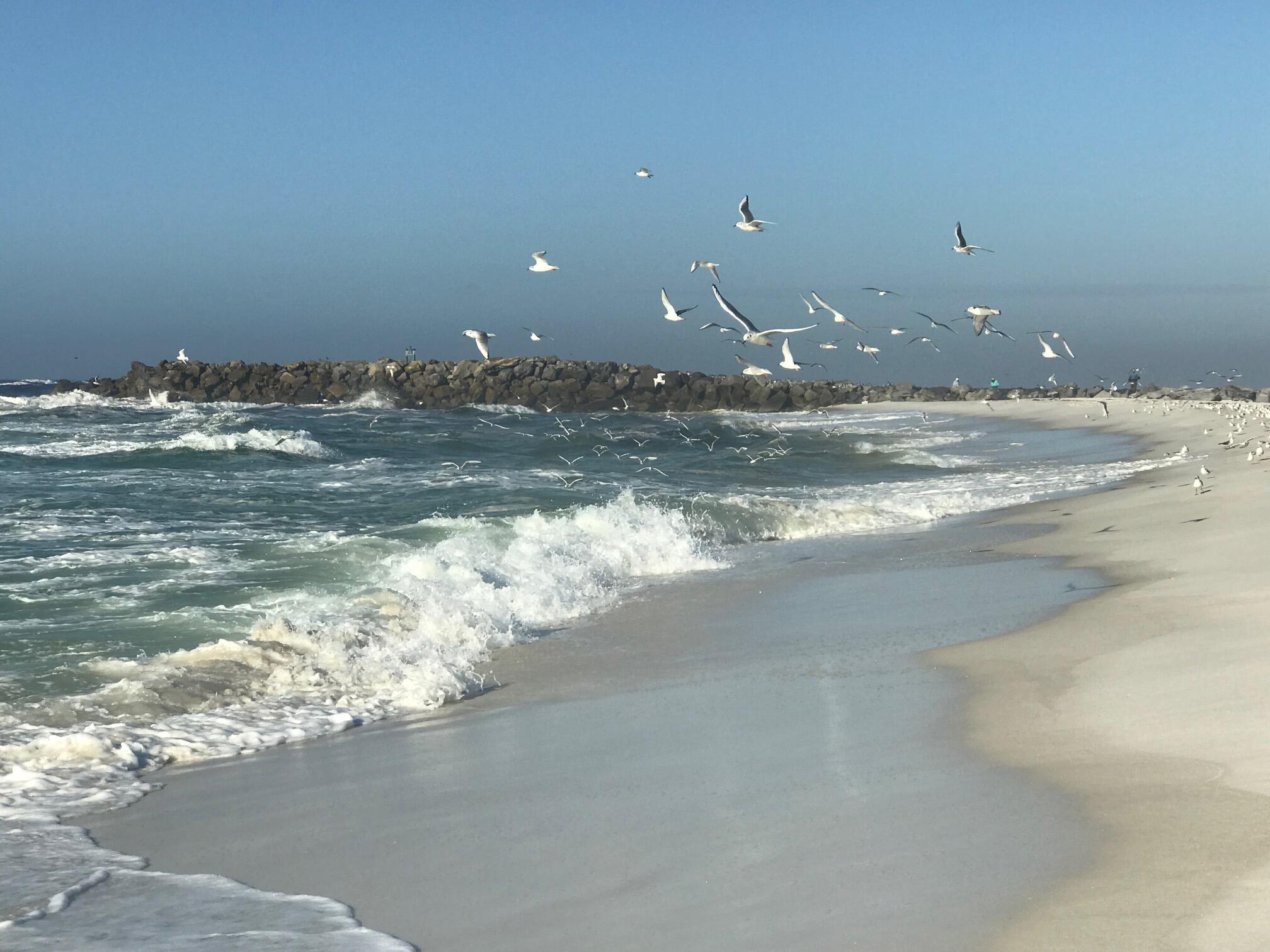 CANAL PLACE PH 2 - Residential