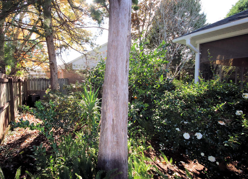 PARKWOOD SQUARE PH 2 - Residential