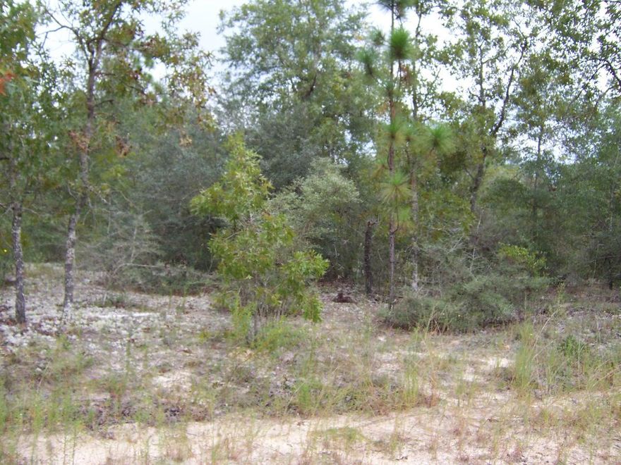 Excellent lot on over an acre....Located near Lake Juniper, located conveniently close to town, and less than an hour to the Beaches of South Walton. MORE THAN A FULL ACRE IN SIZE!! Houses, Mobile homes, and RV's are allowed. Private setting with not too many neighbors. Power and City water available. Septic tank required.