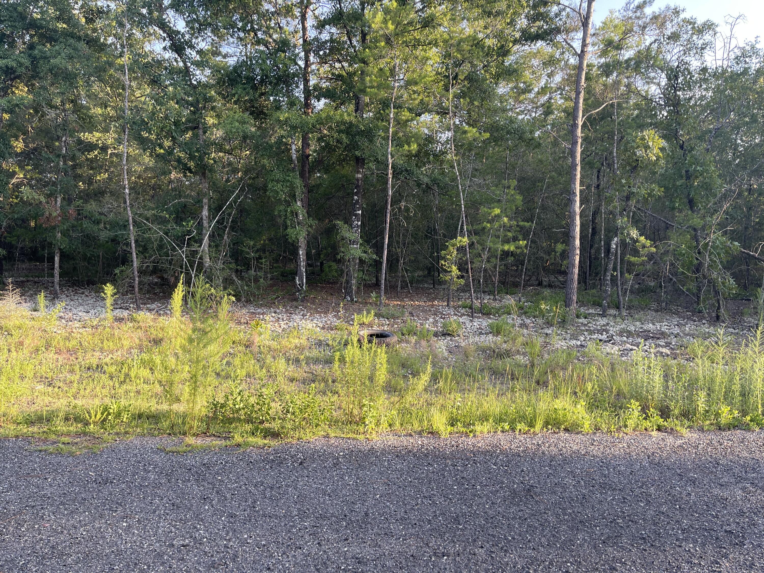 OAKWOOD LAKES ESTATES - Land