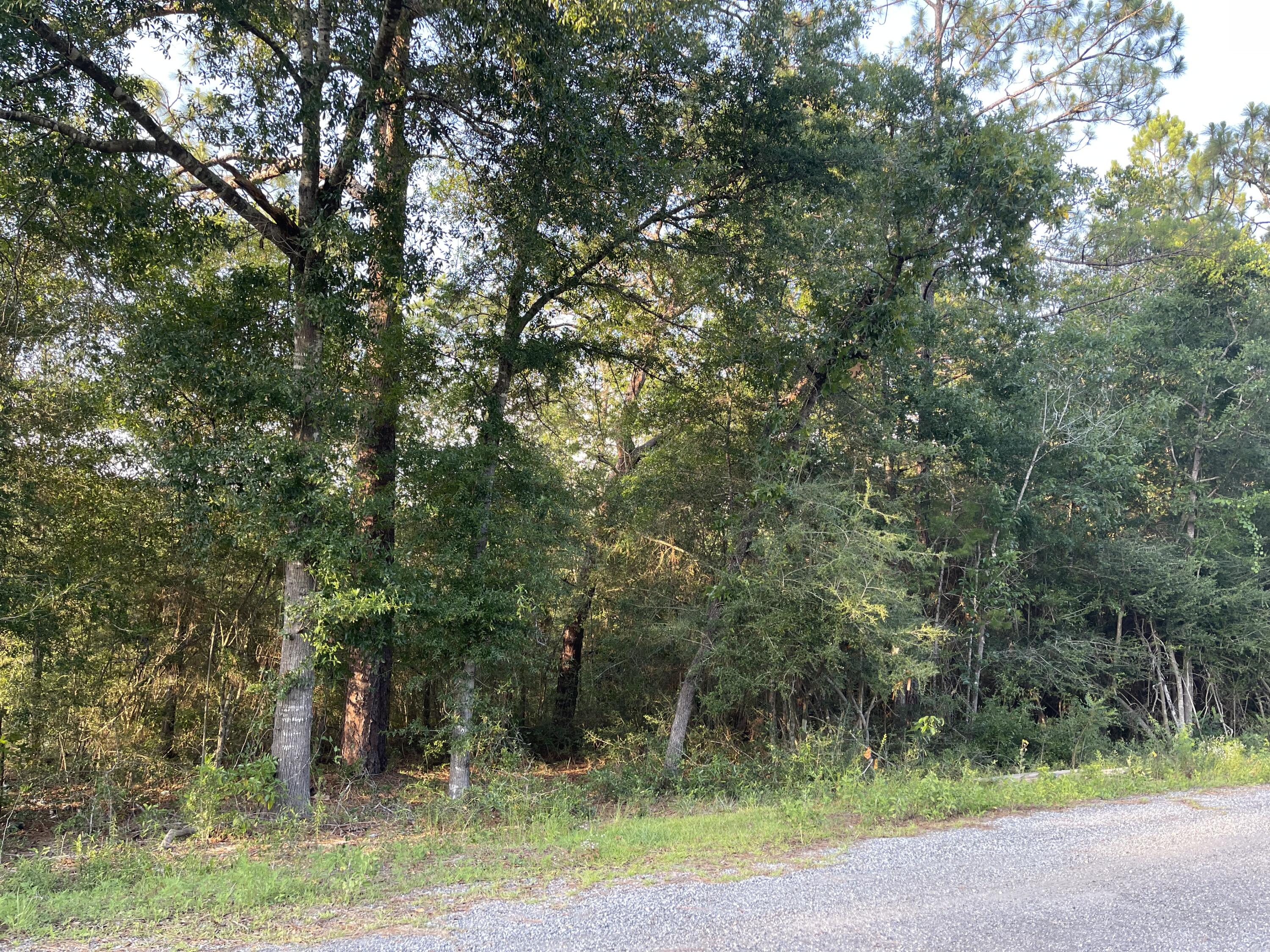 0.447 acreage to build your perfect home on in Beautiful Up and Coming Defuniak Springs. This property is in Flood Zone X.