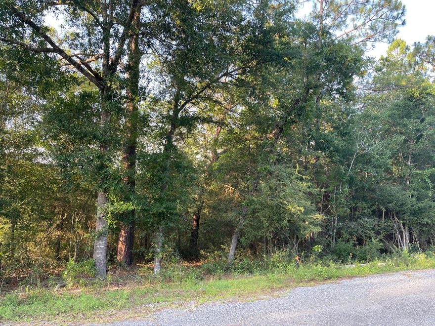 0.447 acreage to build your perfect home on in Beautiful Up and Coming Defuniak Springs. This property is in Flood Zone X.