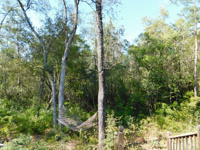 Indian Trails - Residential