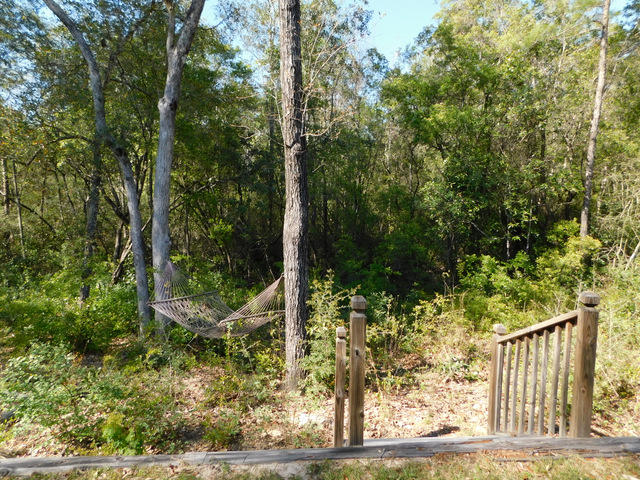 Indian Trails - Residential