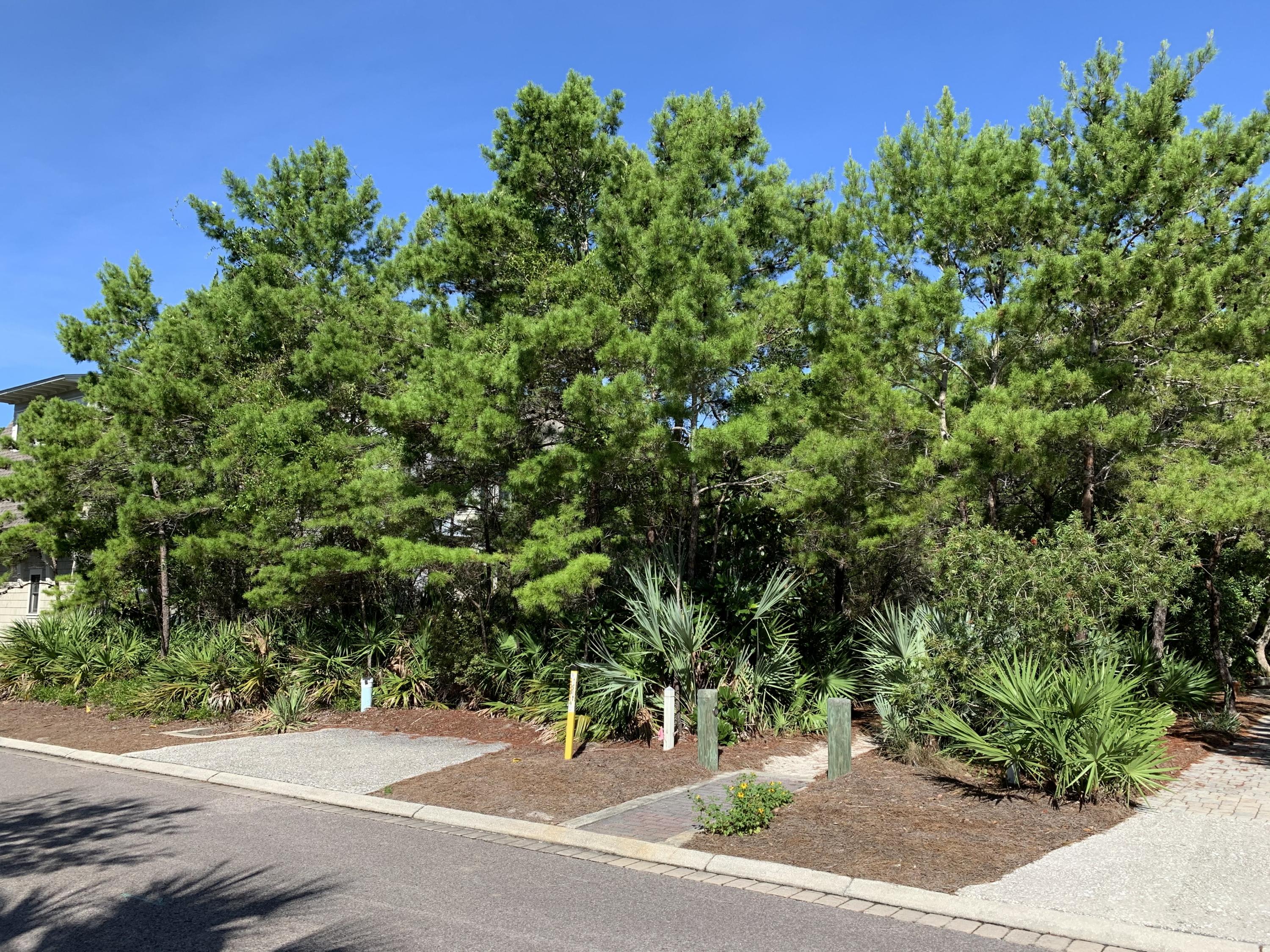 NOW is the time to build your dream home on one of the most beautiful beaches in the world!! Watersound Beach is a St Joe Gulf front community with gated security access, Nantucket-style homes, and a network of winding, wooden boardwalks connecting the neighborhood to the beaches and St Joe's exclusive Gulf front Beach Club. LOWEST priced homesite in this neighborhood with a beautiful oversized lot, a short walk from the Gulf of Mexico. This parcel will allow you to build a 5500 square foot home with a two car garage, carriage house, and amazing outdoor living space that includes a pool! OR keep it simple and build a 2800 square foot home with all the design features and inclusions to meet your needs for a main home and add your carriage house at a later date.