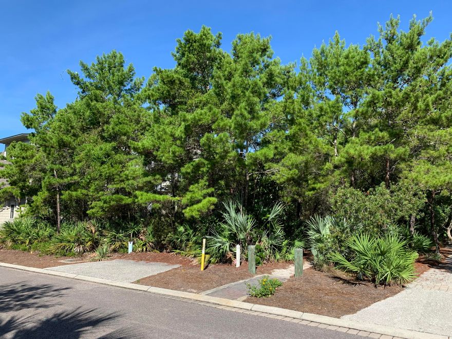 NOW is the time to build your dream home on one of the most beautiful beaches in the world!! Watersound Beach is a St Joe Gulf front community with gated security access, Nantucket-style homes, and a network of winding, wooden boardwalks connecting the neighborhood to the beaches and St Joe's exclusive Gulf front Beach Club. LOWEST priced homesite in this neighborhood with a beautiful oversized lot, a short walk from the Gulf of Mexico. This parcel will allow you to build a 5500 square foot home with a two car garage, carriage house, and amazing outdoor living space that includes a pool! OR keep it simple and build a 2800 square foot home with all the design features and inclusions to meet your needs for a main home and add your carriage house at a later date.