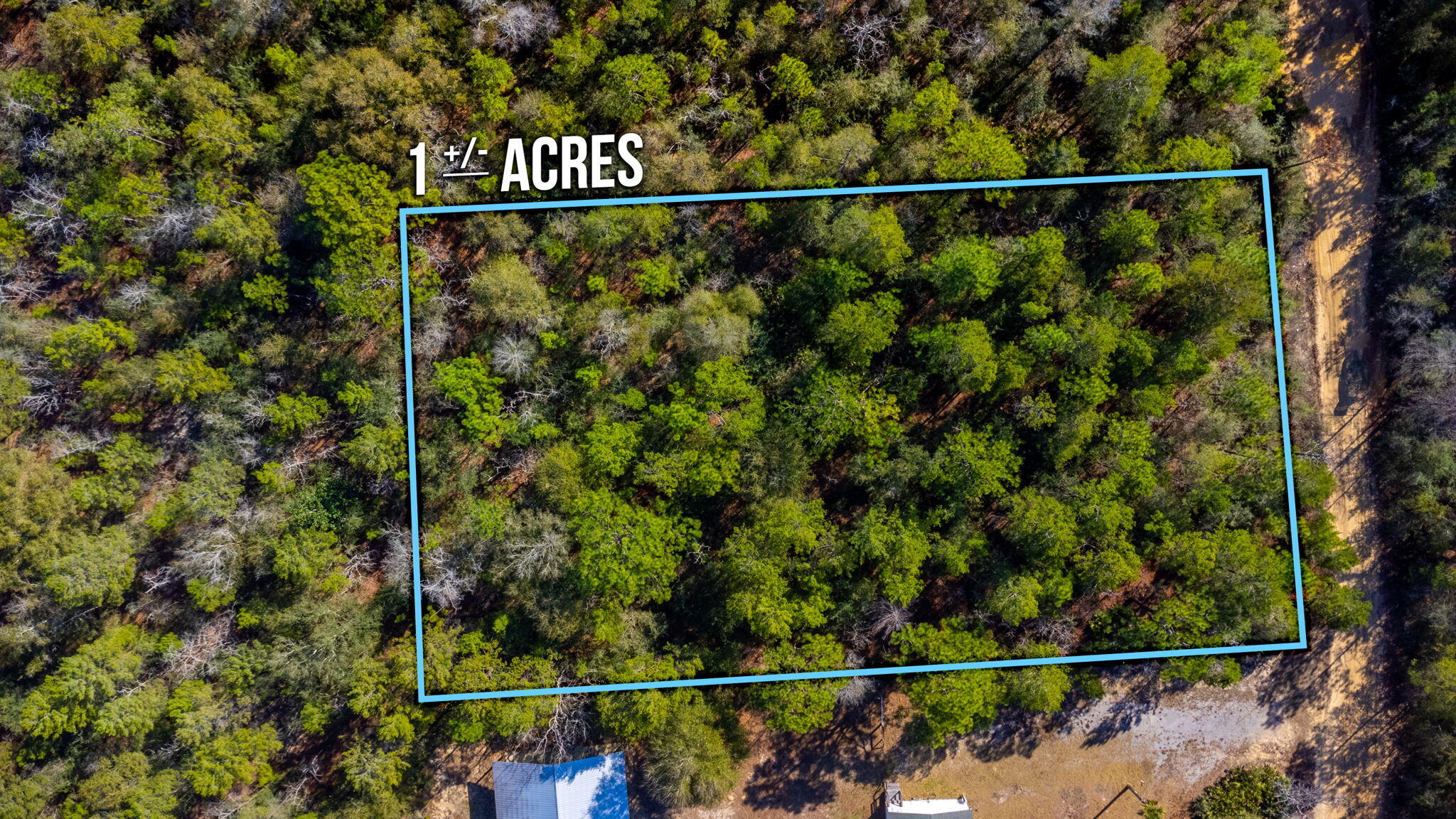 This lot is a very nice wooded, level lot on a private road in the Mossy Head area. It is approximately 150 feet wide & 290 feet deep (estimates only). Great location! Zoned rural residential & located in flood zone X according to the County GIS map; making it a great location to build a home or setup a manufactured home. Power is available along the street & public water is available in the area. However the tap fee will need to be paid through Mossy Head Water Works. There is no public sewer available. Therefore a septic system will need to be installed.