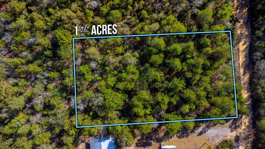 This lot is a very nice wooded, level lot on a private road in the Mossy Head area. It is approximately 150 feet wide & 290 feet deep (estimates only). Great location! Zoned rural residential & located in flood zone X according to the County GIS map; making it a great location to build a home or setup a manufactured home. Power is available along the street & public water is available in the area. However the tap fee will need to be paid through Mossy Head Water Works. There is no public sewer available. Therefore a septic system will need to be installed.