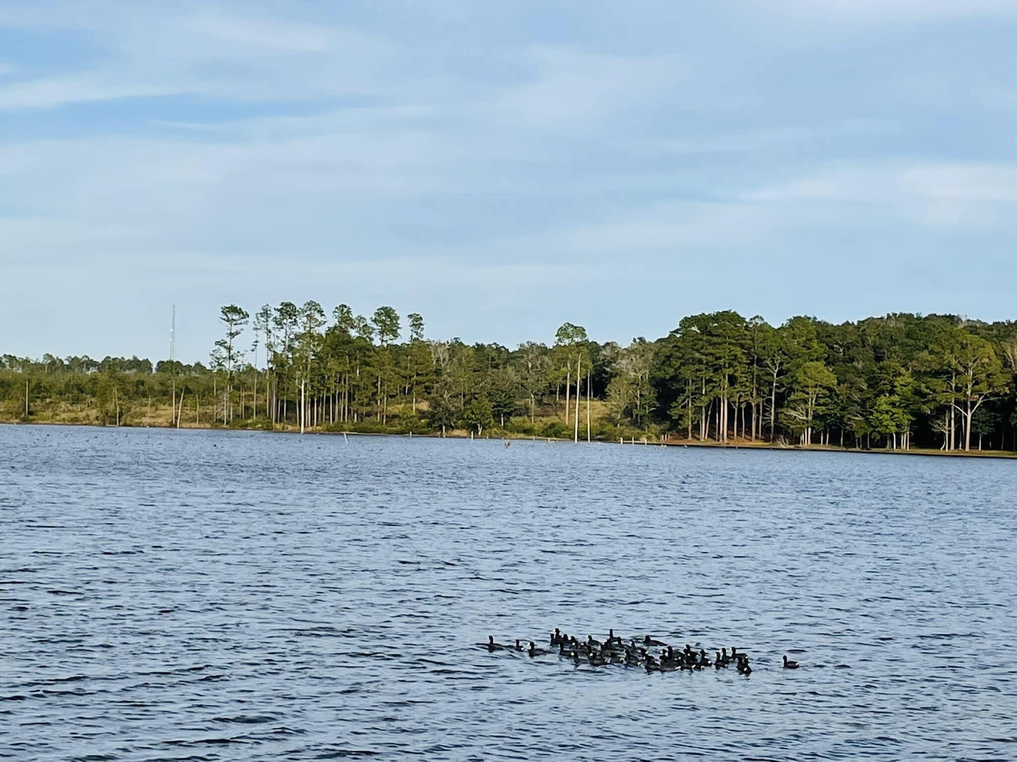 Why rent just a home when you can have a whole fresh water lifestyle with 100 feet on Juniper Lake? This fisherman's paradise is made for entertaining and relaxing by the water! Inside features three bedrooms and two bathrooms, along with a 20x17 Florida room. The interior has been updated. The galley kitchen is easy on the cook with lots of counter top space, counter tops and newer appliances. Outside features a fire pit, RV hook-up, oversized covered and screened porch overlooking the water, 2 large storage workshop/storage buildings and a dock (to use at your own risk), along with a carport and asphalt driveway. Contact to see rental requirements!