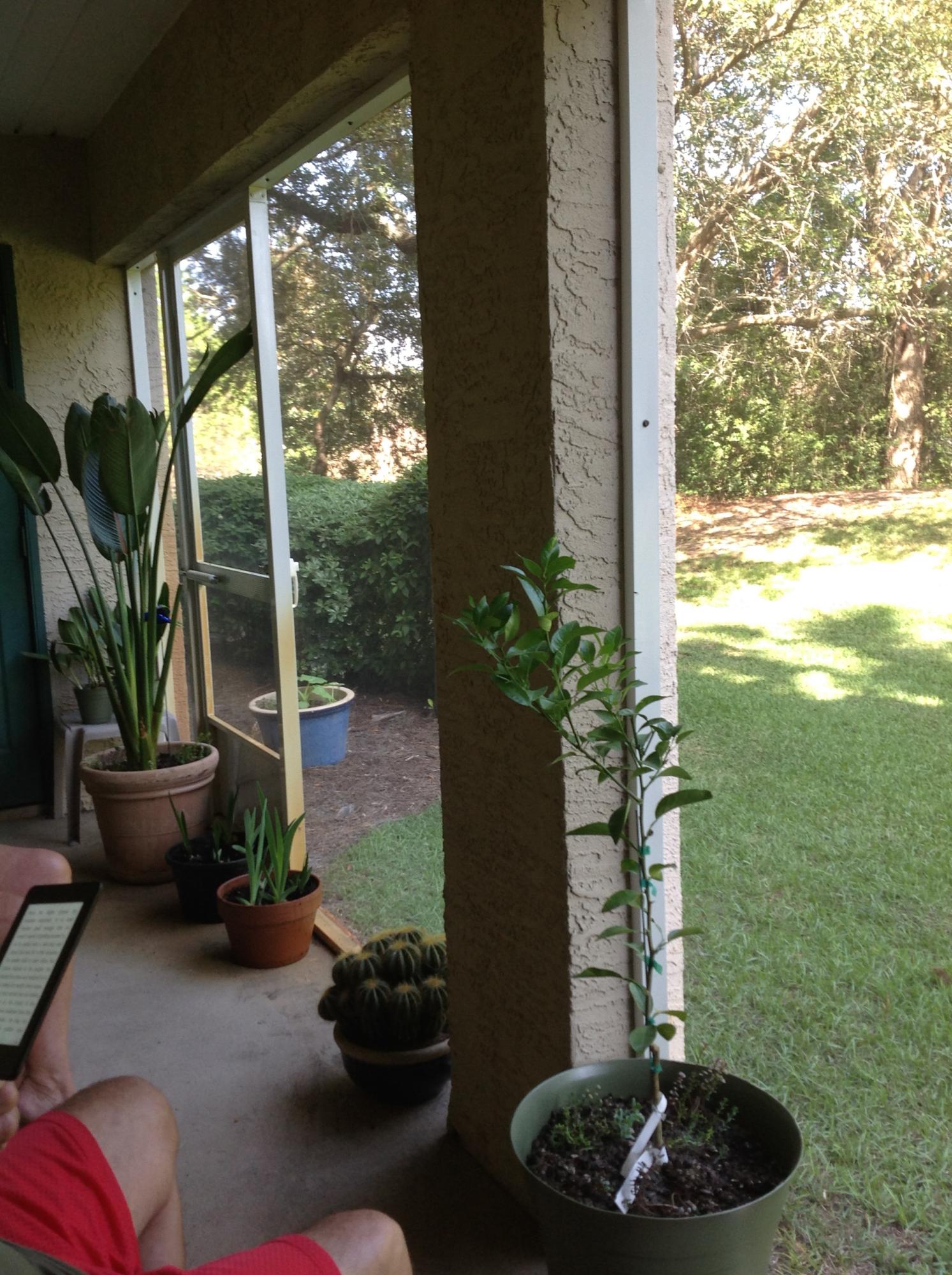 FLORIDA CLUB - Residential