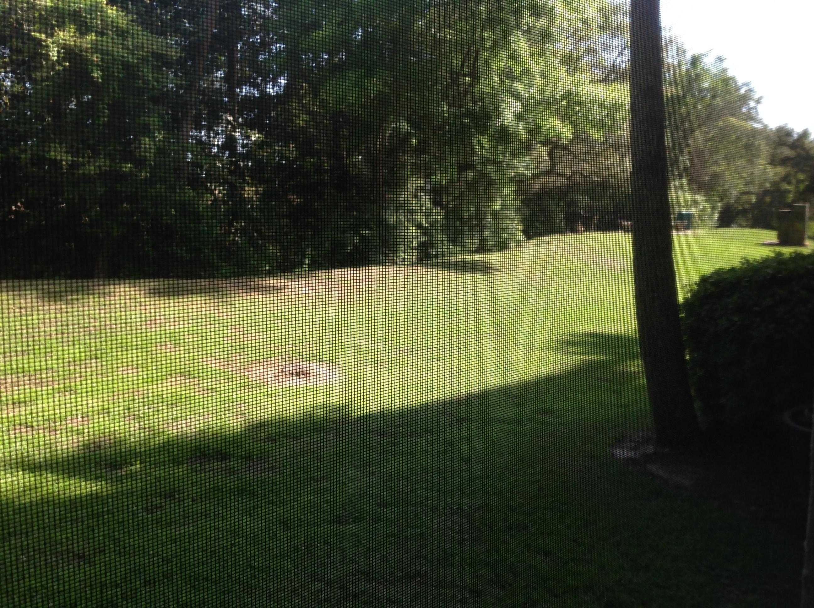 FLORIDA CLUB - Residential