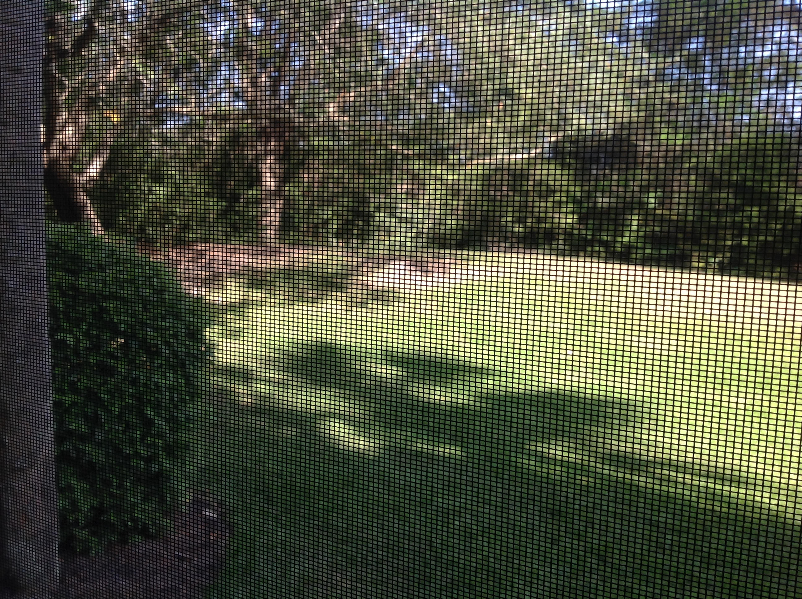 FLORIDA CLUB - Residential