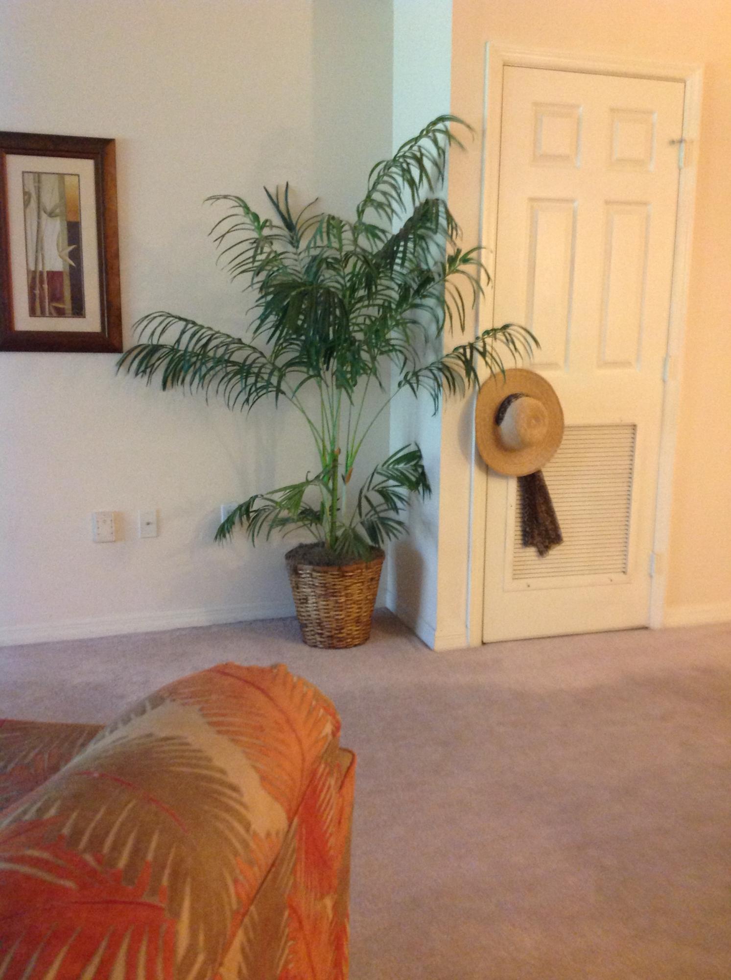 FLORIDA CLUB - Residential