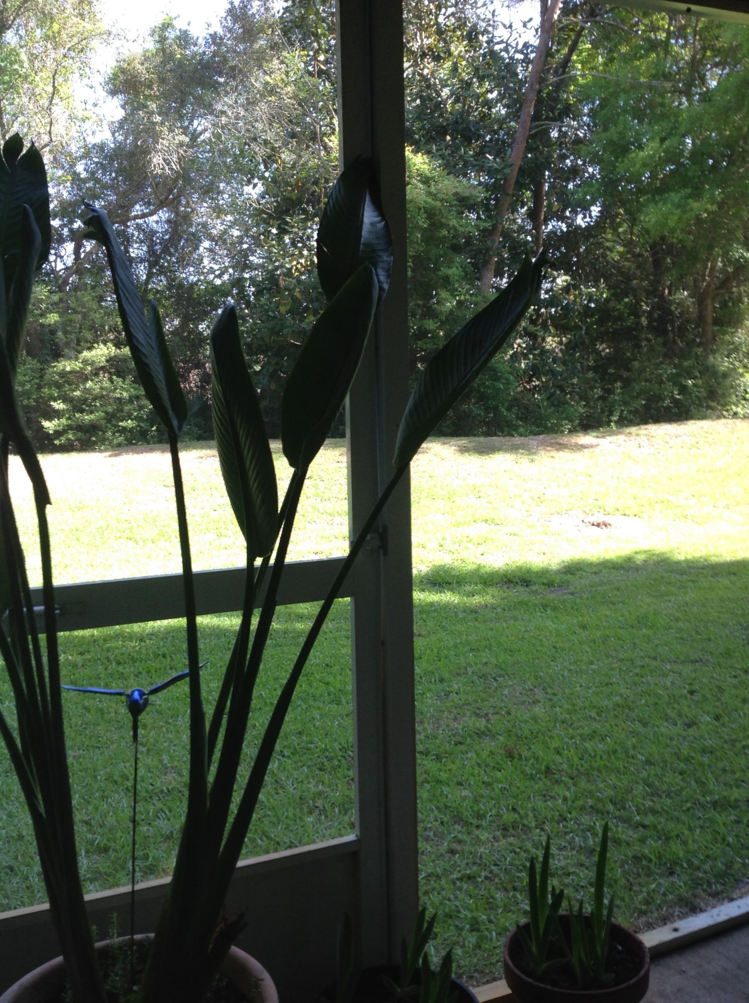 FLORIDA CLUB - Residential