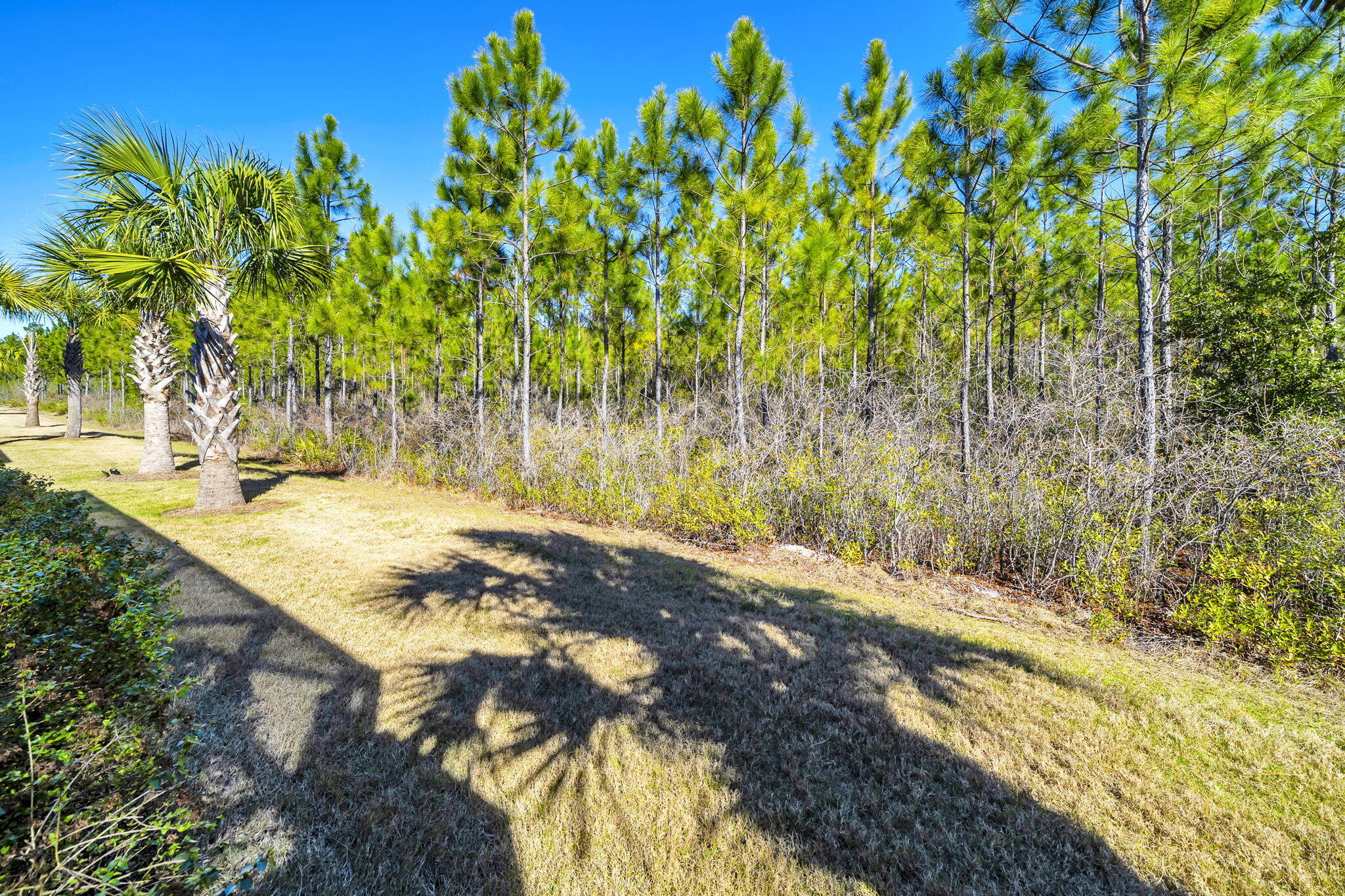 Latitude Margaritaville Watersound - Residential