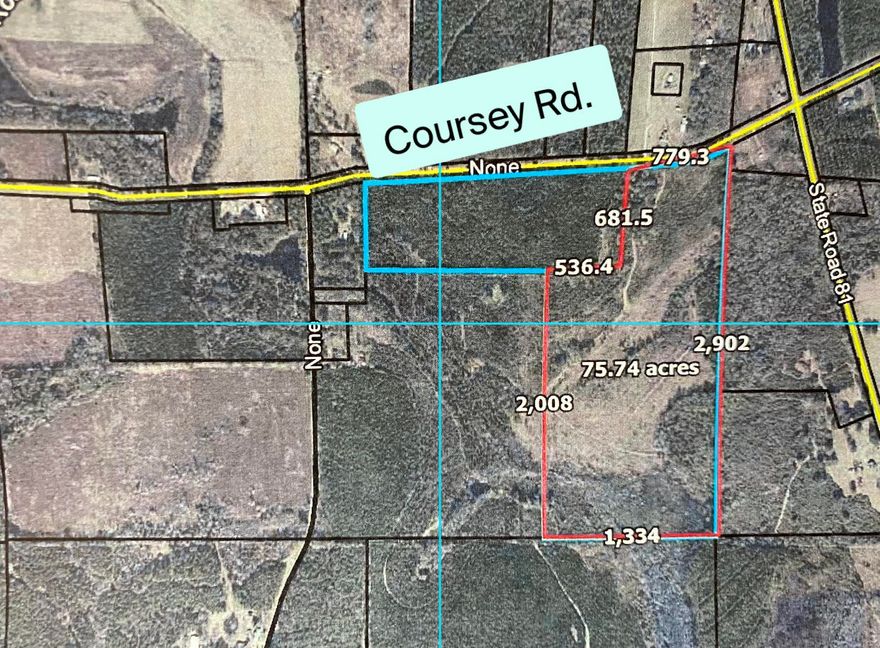 Beautiful 75 acres in North Holmes County, Florida. This property has planted pines and would be perfect for your hunting land, a place to build your dream home or nice getaway. Lots of wildlife, mainly deer and turkey. The property is high and dry on the northern part, and 85%x 15%A on the south part of property. The 75 acres will be surveyed out from the 105 acres. The other 30 acres is also listed MLS# 853626