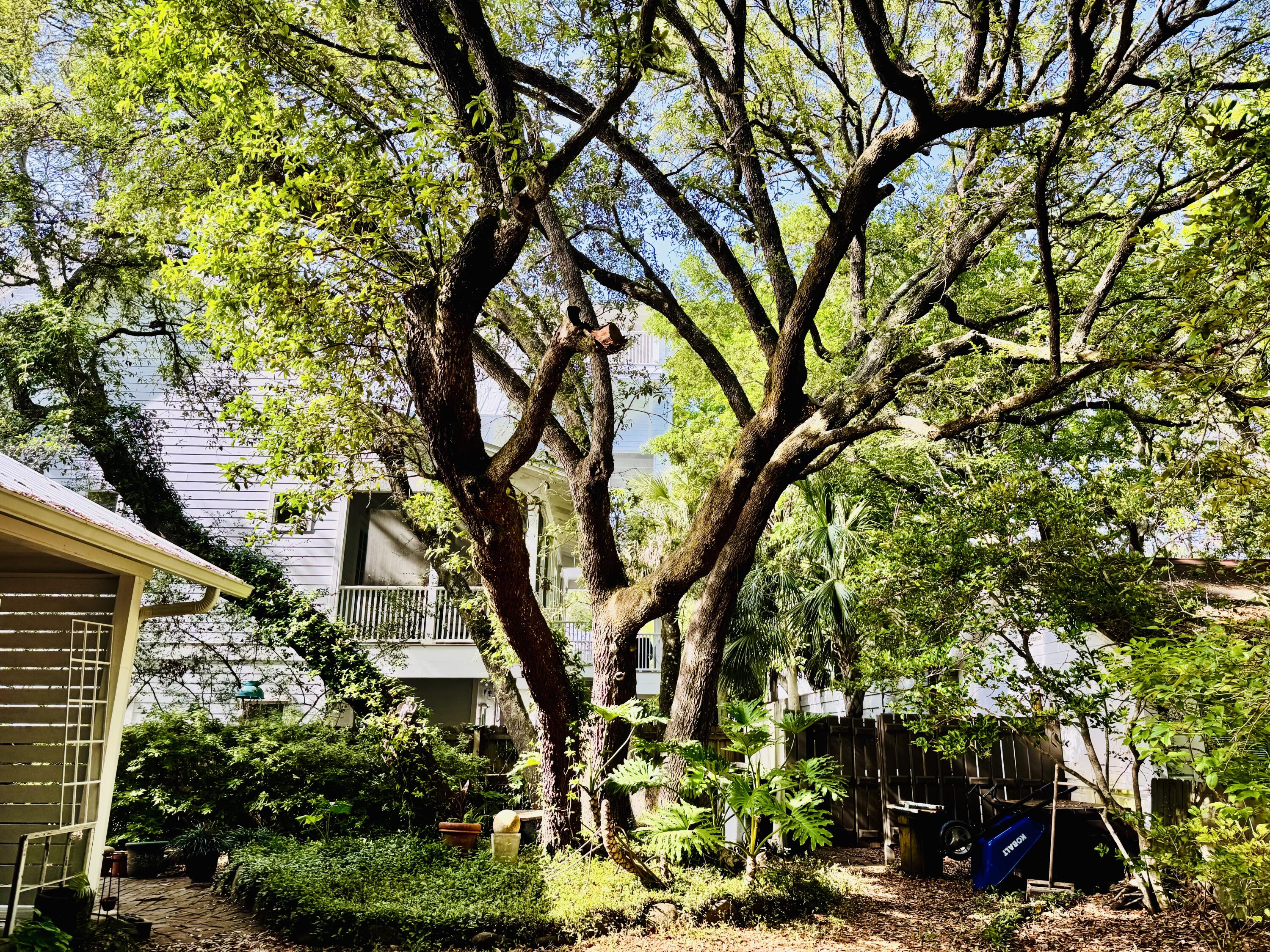 Old Sea Grove Seagrove First Addn - Residential