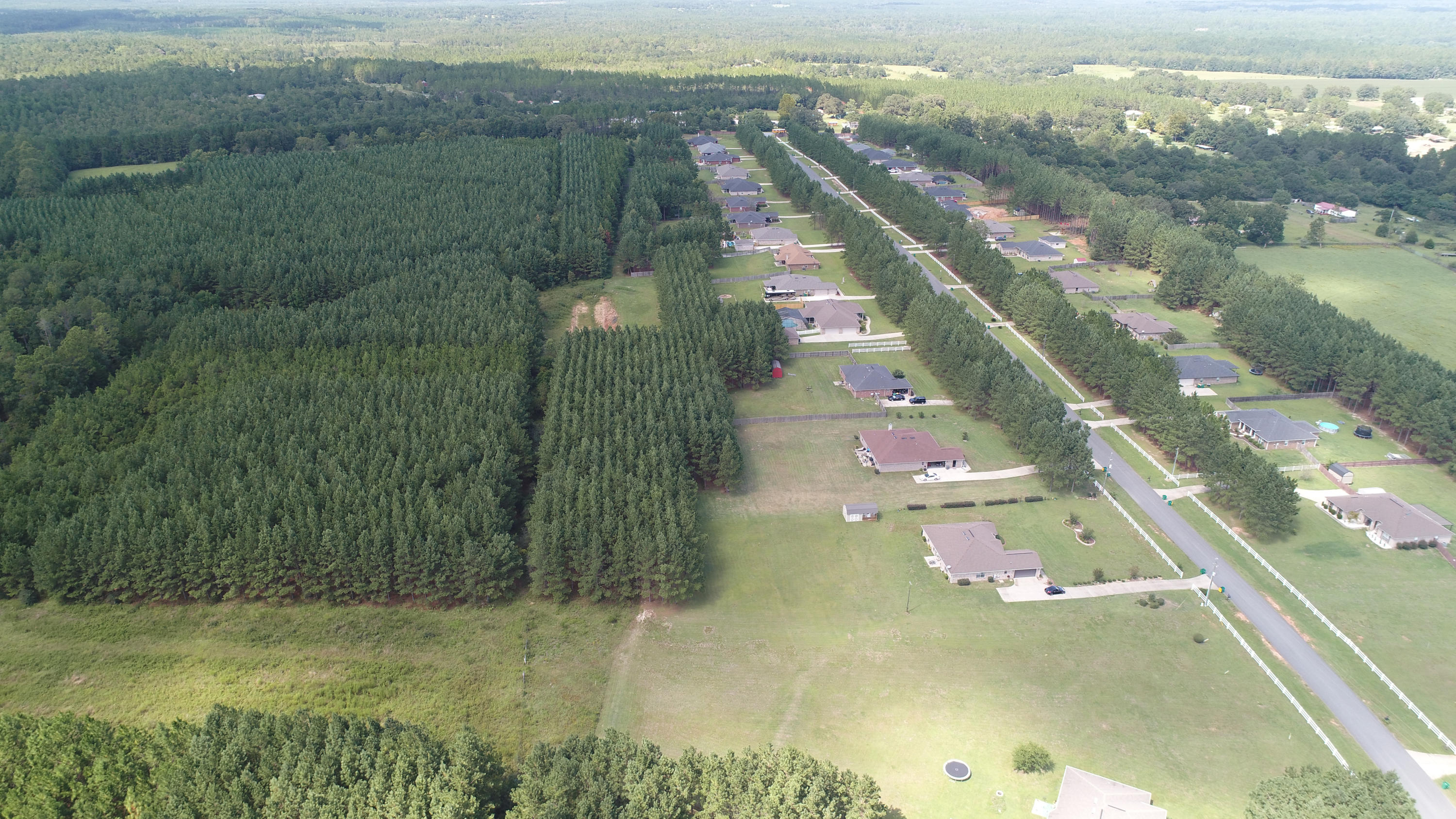 YELLOW RIVER PLANTATION - Residential