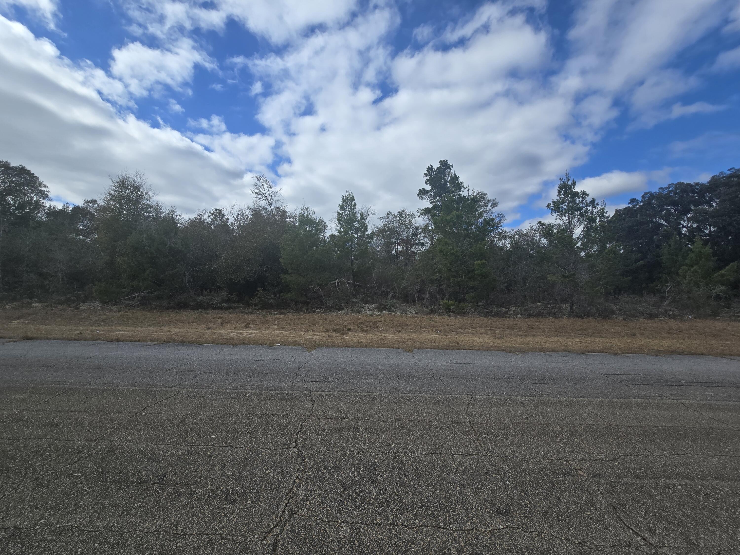 SUNNY HILLS SD - Land