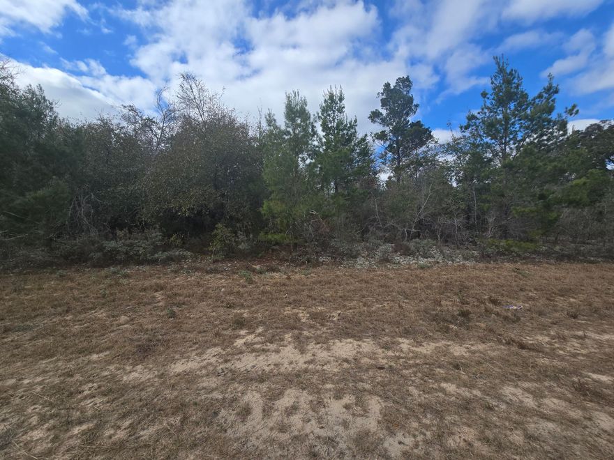 High and Dry Buildable Lot in the Sunny Hills Community, an established subdivision with over 20K lots currently being developed with several national builders. Subdivision offers an 18-hole golf course with clubhouse, numerous lakes with white sandy beaches for recreational activities such as swimming, boating, fishing, and best of all, NO HOA! Sunny Hills is located in Washington County between Panama City Beach and Chipley within the Vernon school district.  Seller has 4 more great buildable lots in Sunny Hills available for purchase, individually or in a package. All properties are vacant and undeveloped.