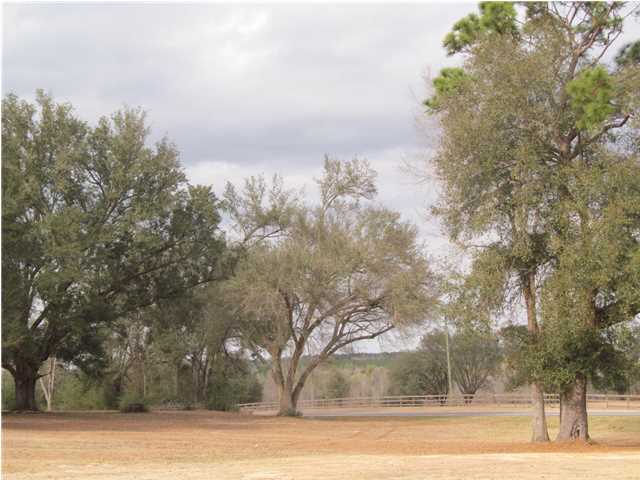 Subject property is located in one of NW Florida's most scenic country settings. You won't have to worry about needing any more space when your build your country dream home in the middle of this parcel. Excellent deer hunting. mature hardwoods & pines. Seller believes there are over 40 mature pecan trees on the property.subject property is being cut out of the parent parcel