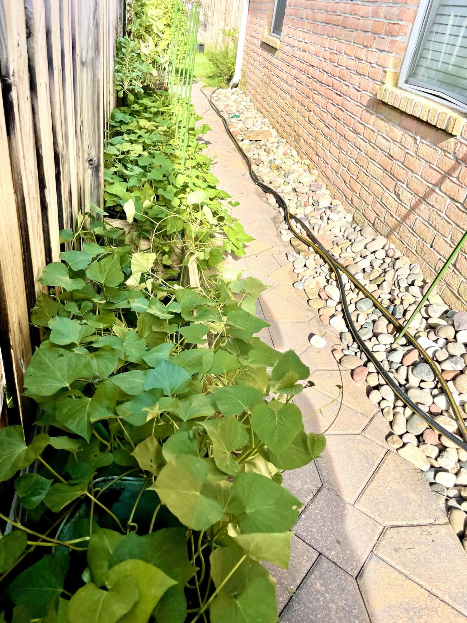 BRIDGEPORT COLONY - Residential Lease