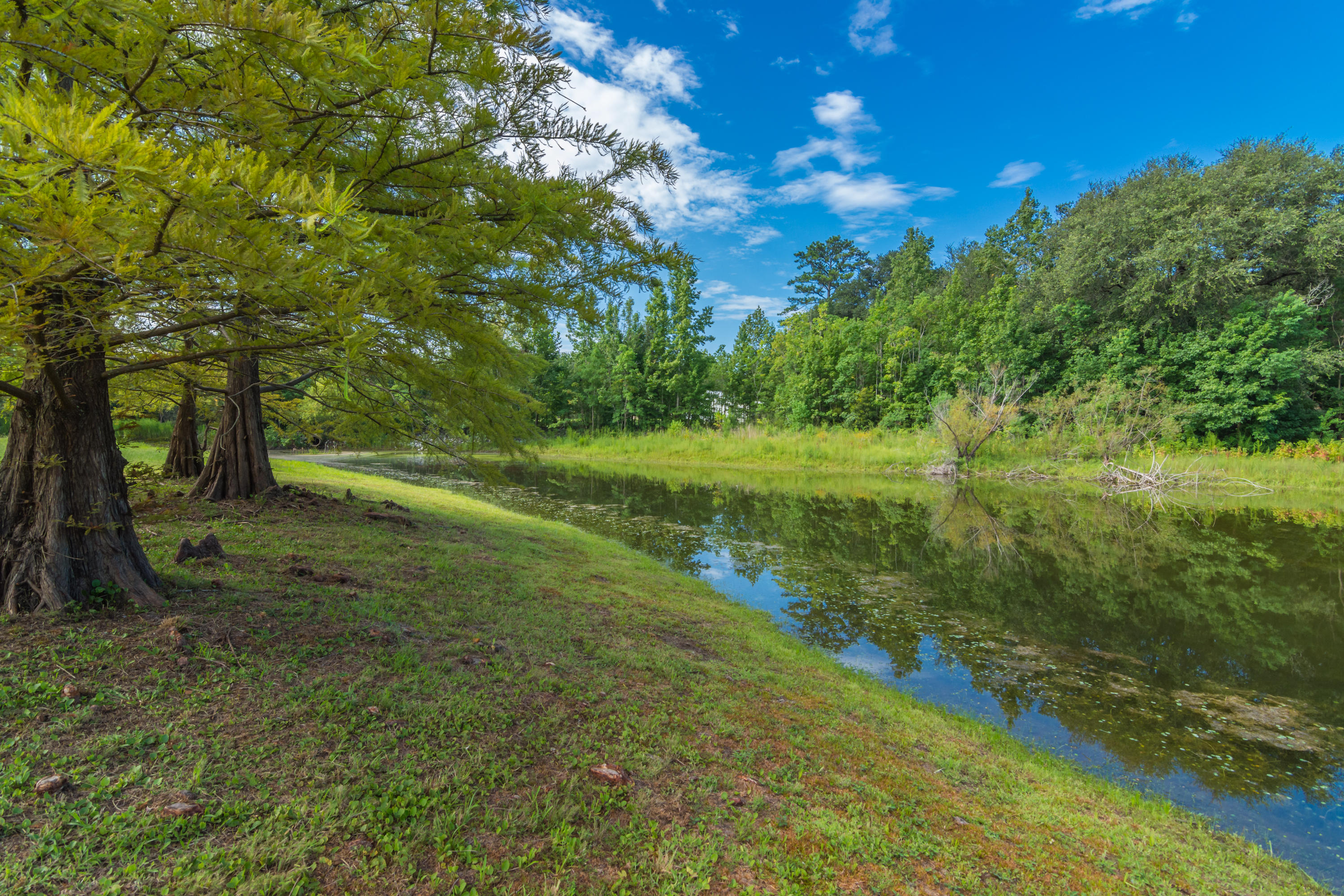 HOLLY HILLS - Residential