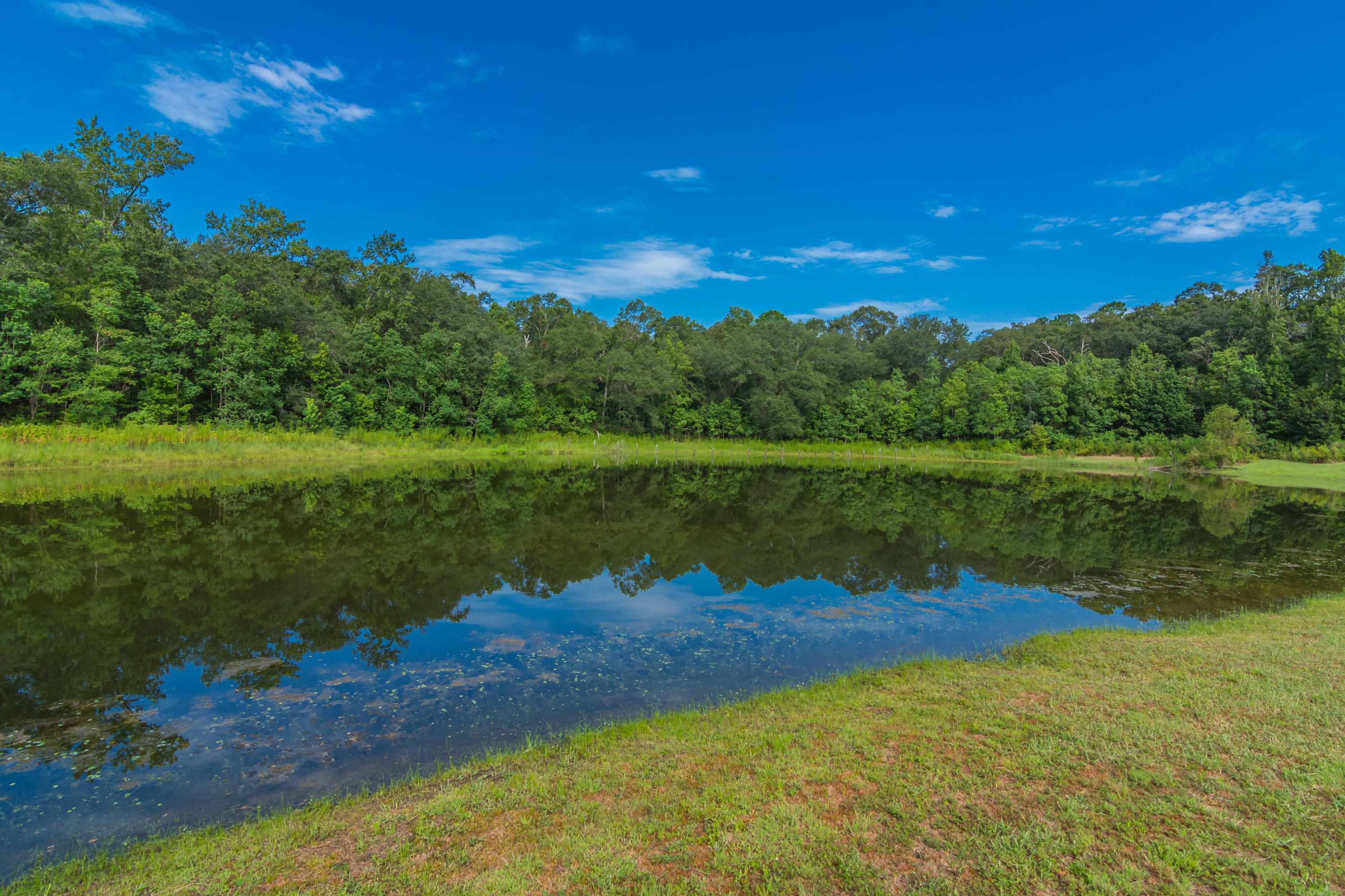 HOLLY HILLS - Residential