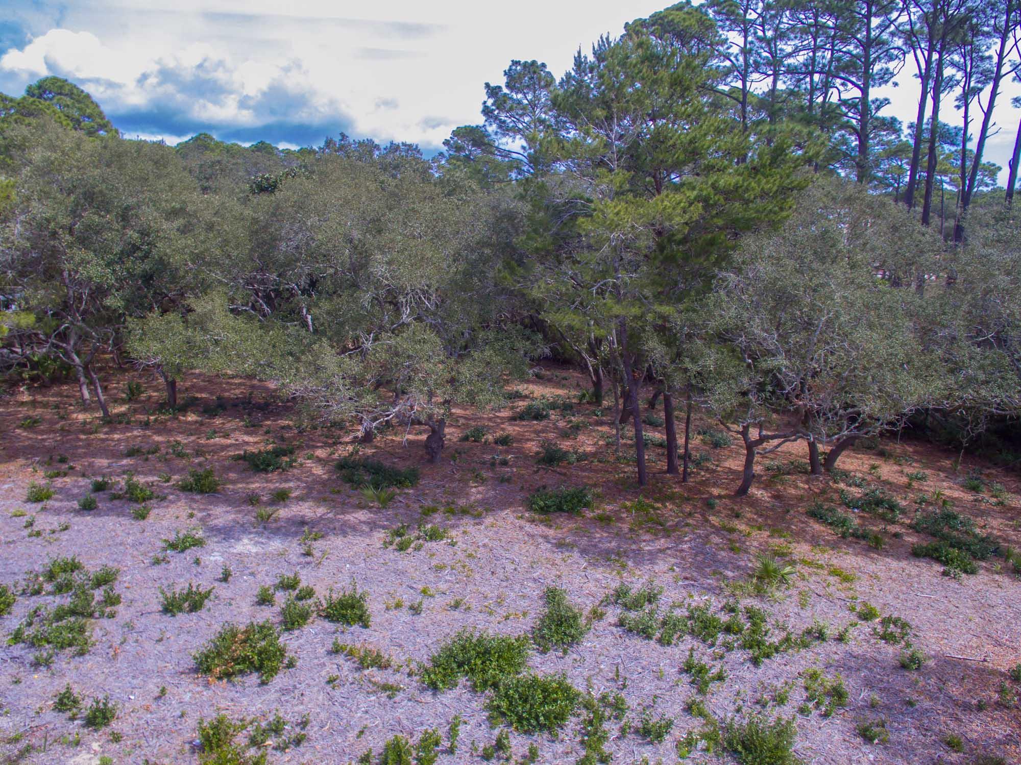 BEACH HIGHLANDS - Land