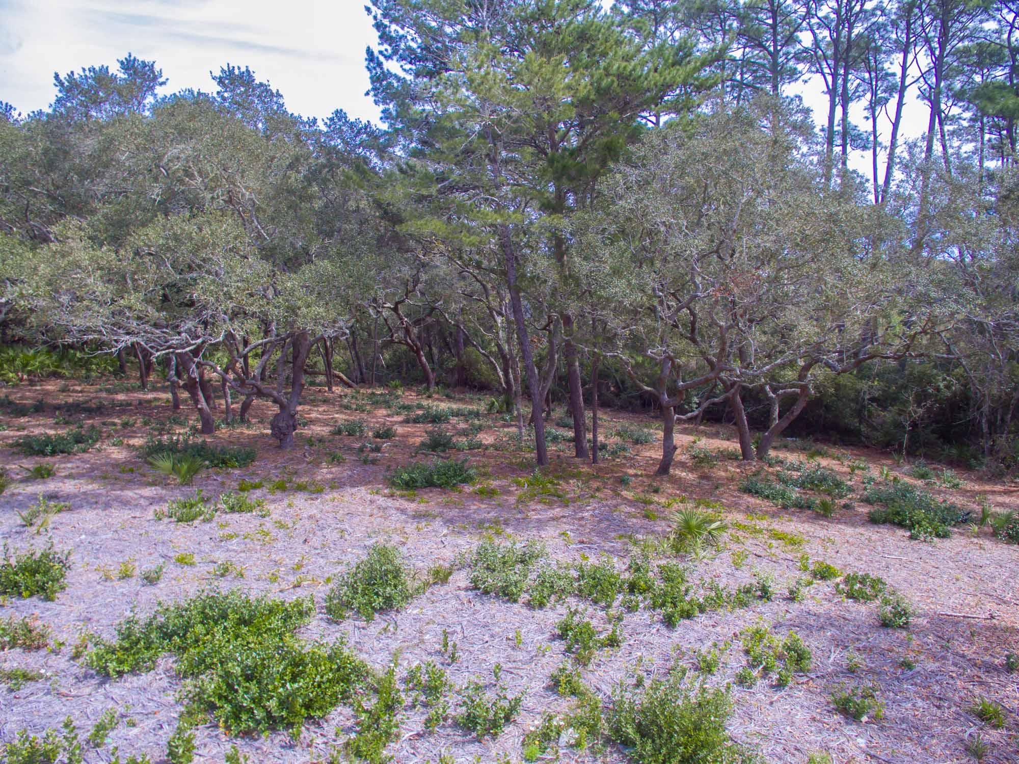 BEACH HIGHLANDS - Land