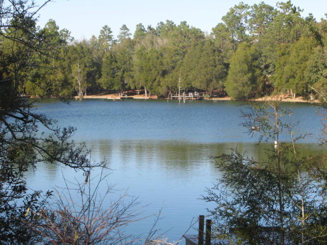 Nice wooded Lake Front lot on paved road. East of Hwy. 87 and south of I-10. Lake is spring fed. Lot has large pine, oaks, and cypress trees at waters edge. Will allow site built homes and mobile homes that are no older than 10 years old. 91 feet on the water and 69 feet on the road. Owner's are licensed Florida real estate brokers.