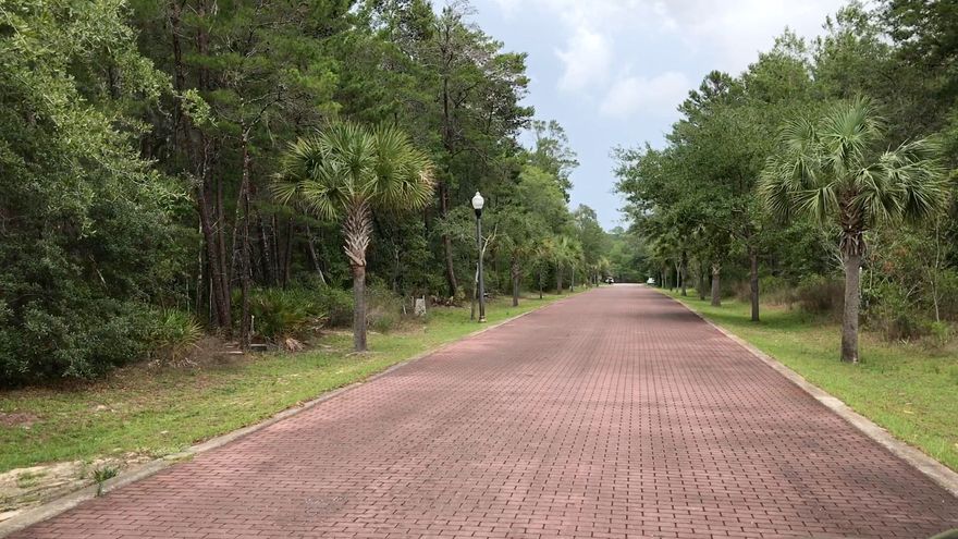 Rare opportunity. One homesite for sale or as many as 4 in a row. Private location. No Build out time. You can build rental property or homeowner residence. This property has an frontage on two sides. Overall 7500 sq. ft homesite allows main house and carriage house/garage. On the Northside is ''Private road 2'', a community allyway and Devlieg Ave. is stamped red brick style roadway on the Southside. COMMUNITY PROPERTY AND BAYOU across the street. COUNTY DOCK on McQuage Bayou is 400 ft away. New BAYFRONT PARK on Mitchell. BOAT LAUNCH right around the corner. Located only 5 mins from Grayton Beach. 2000 Sq. ft SWIMMING POOL, wi-fi, picnic area. No wetlands! Beautiful wooded homesite. Grayton Bayou CC&R's require florida cottage home with minimum size of 1600.