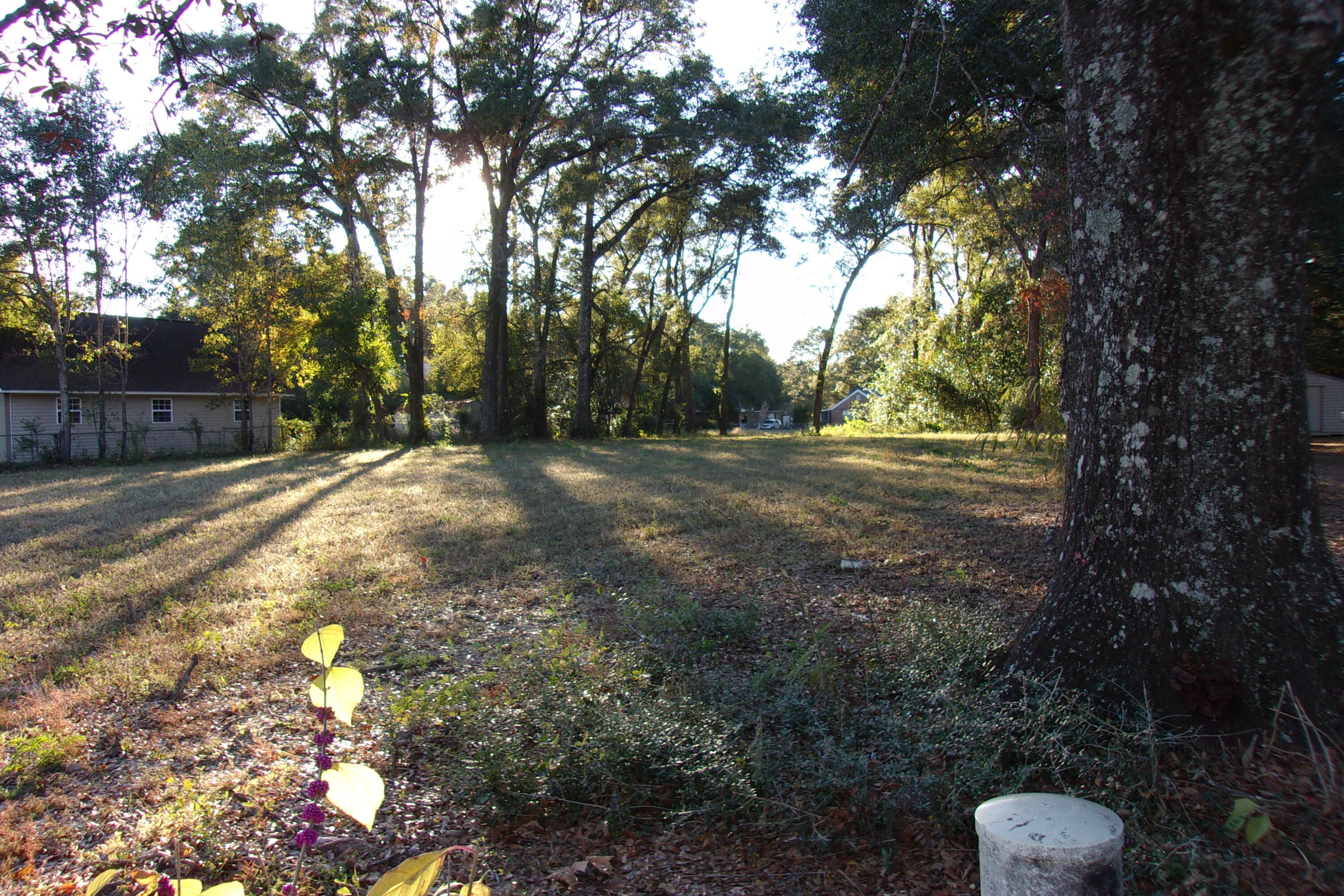 MCCASKILL ADDN - Land