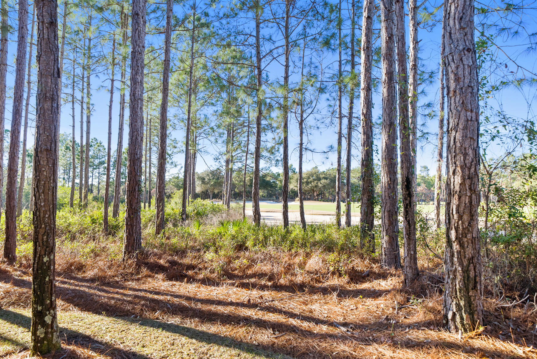 WILD HERON - CLUBSIDE II - Residential