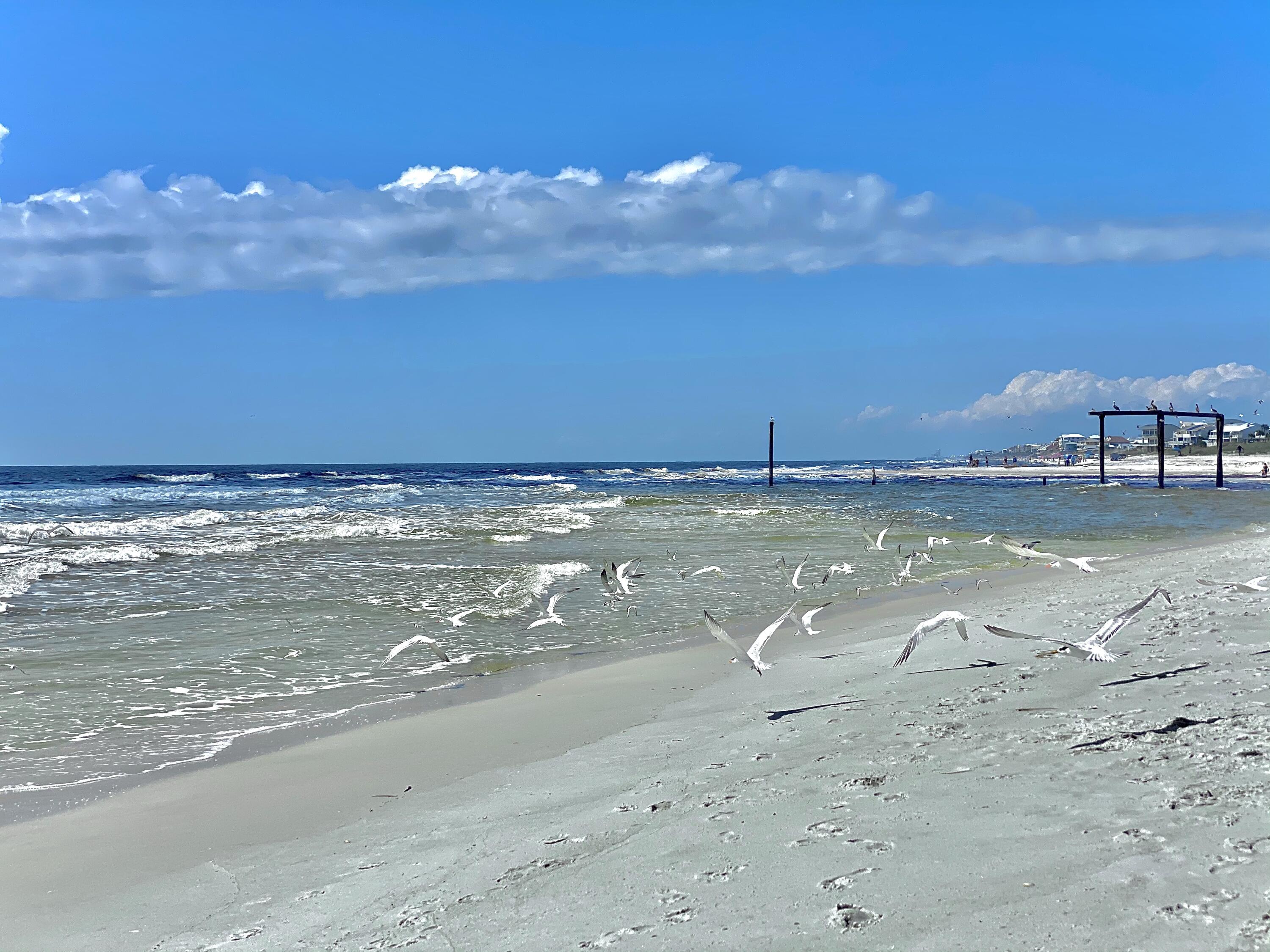 WILD HERON - CLUBSIDE II - Residential