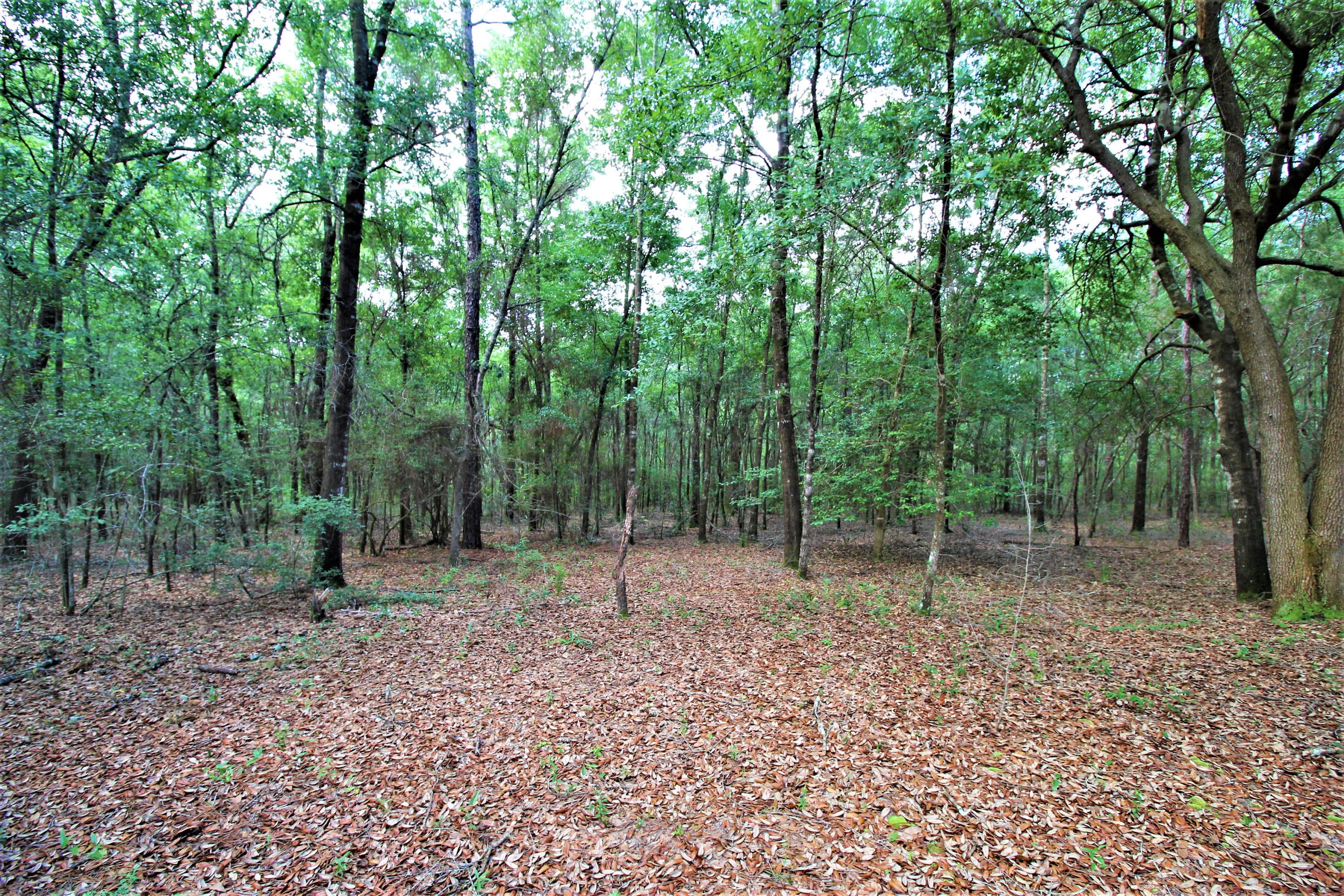 NONESUCH WAY - Residential