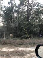 Nice level lot with private well. It is the 2nd lot after you turn right at the end of Bonita Drive in Mossy head, Florida which is between DeFuniak Springs and Crestview, Florida. Septic tank and Electricity will be needed. Property is near I-10 interstate exit. Survey and vacant land disclosure are available.