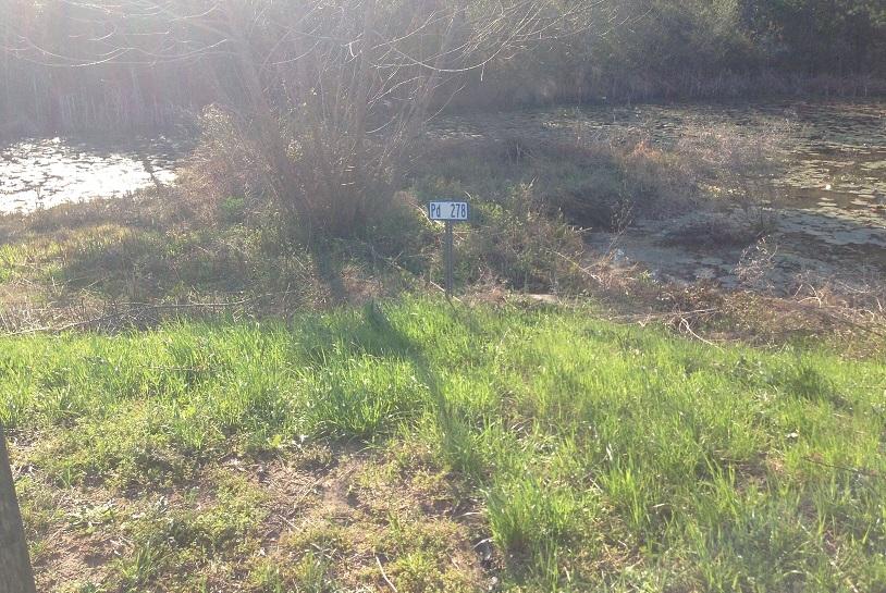 CORONADO VILLAGE PH 4 - Residential