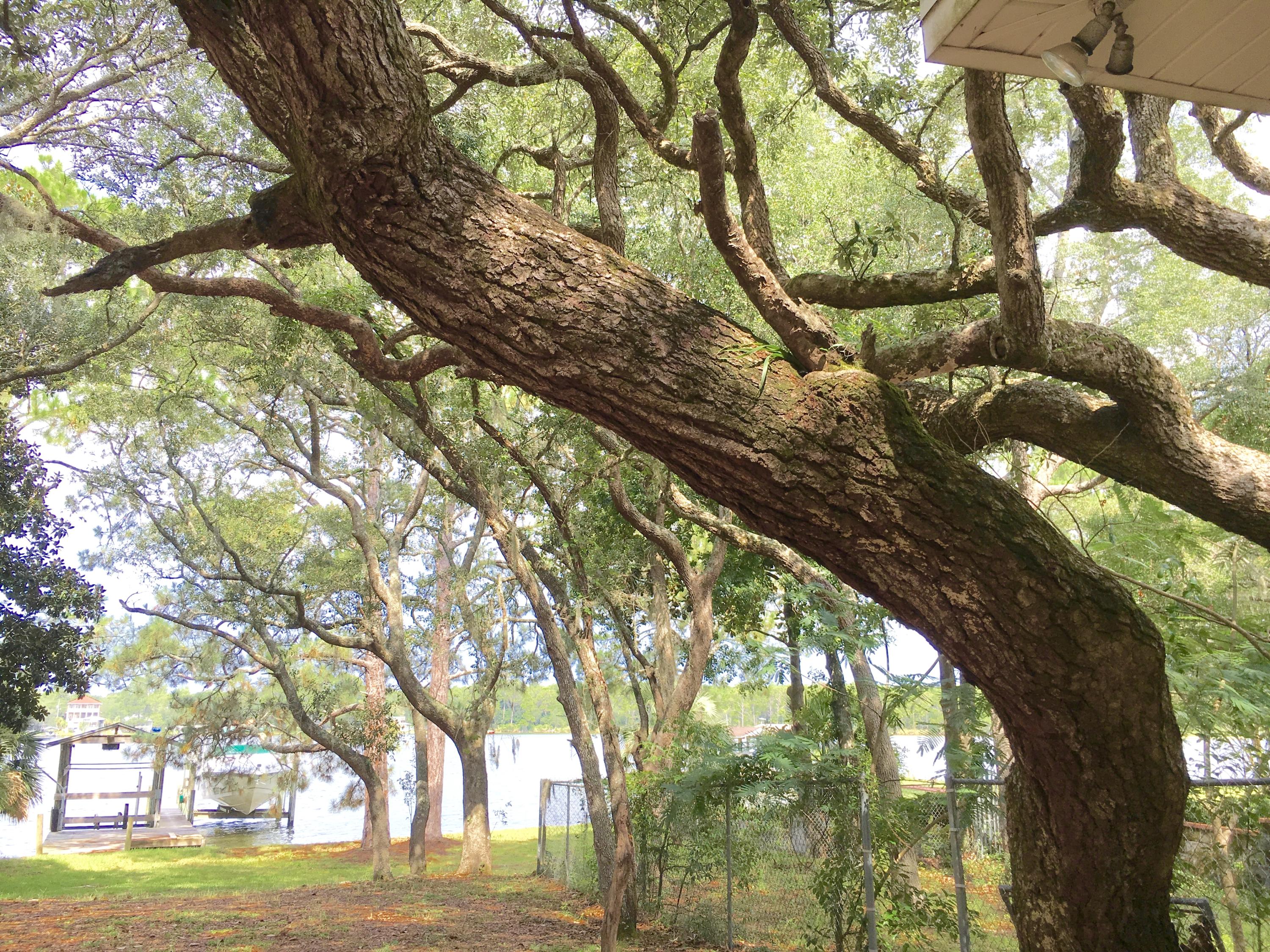 WOODLAND SHORES - Residential