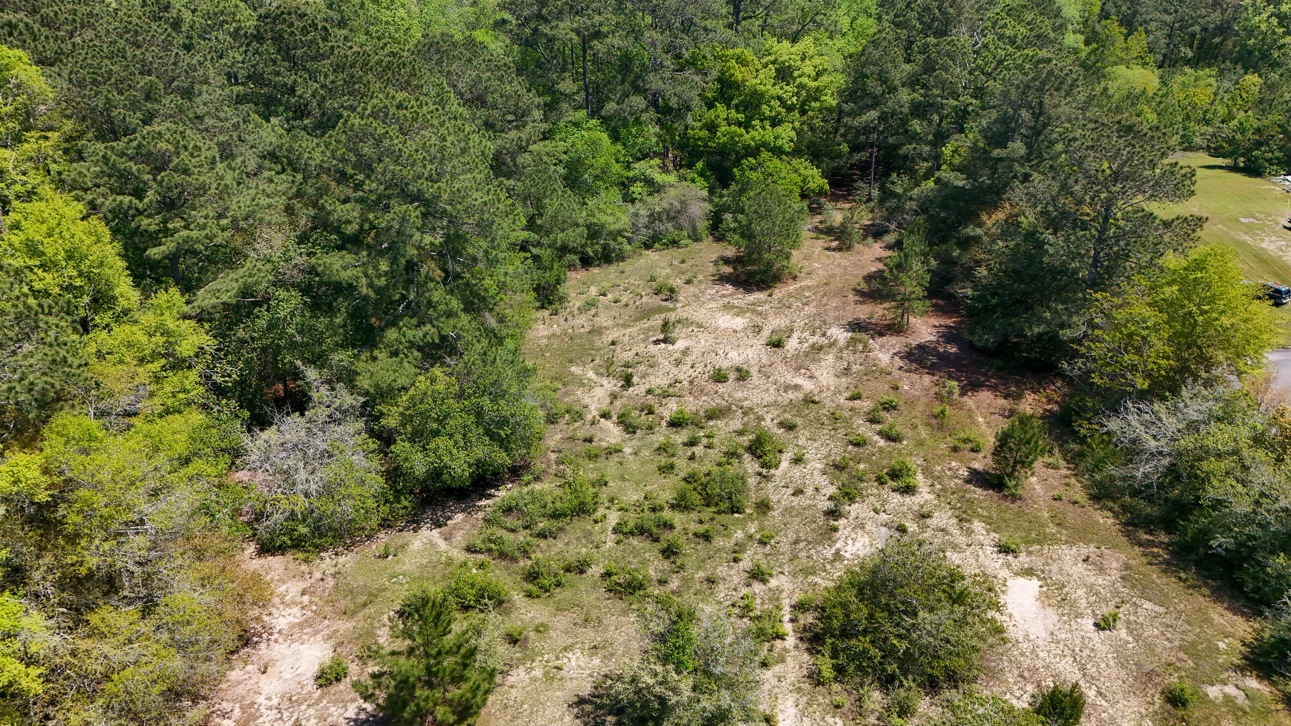 DEFUNIAK SPRINGS TOWN OF - Land