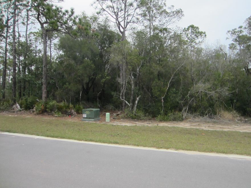 Residential lot in Historic Seagrove Beach within walking, bike & golf cart distance to the white sand beaches of South Walton.  Five beach accesses are available for your use.  San Juan beach access or Santa Clara access are the most convenient.  Santa Clara Beach access offers rest rooms, lifeguards during season and wheelchairs, if needed. Gulf Shore Manor has no HOA.  This lot is on a newly developed paved street with very limited traffic.  Public utilities are available and they are underground.  Terrific location for that dream home.  Town of SEASIDE  where ''The Truman Show'' was filmed is short distance.  30A is developing very fast. Don't miss out on this great opportunity.  The Seller will also consider owner financing. Contact listing agent for details.