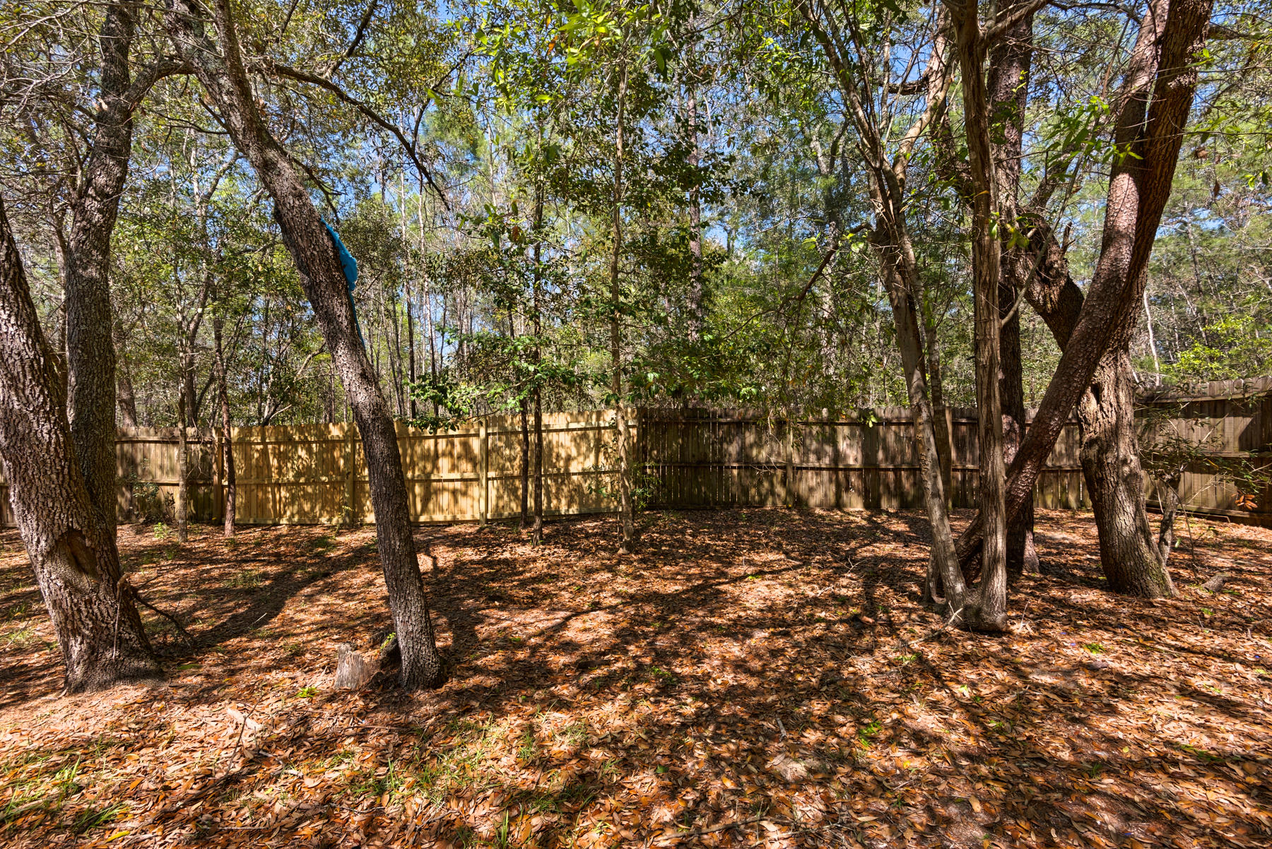 Magnolia Landing PH II - Residential