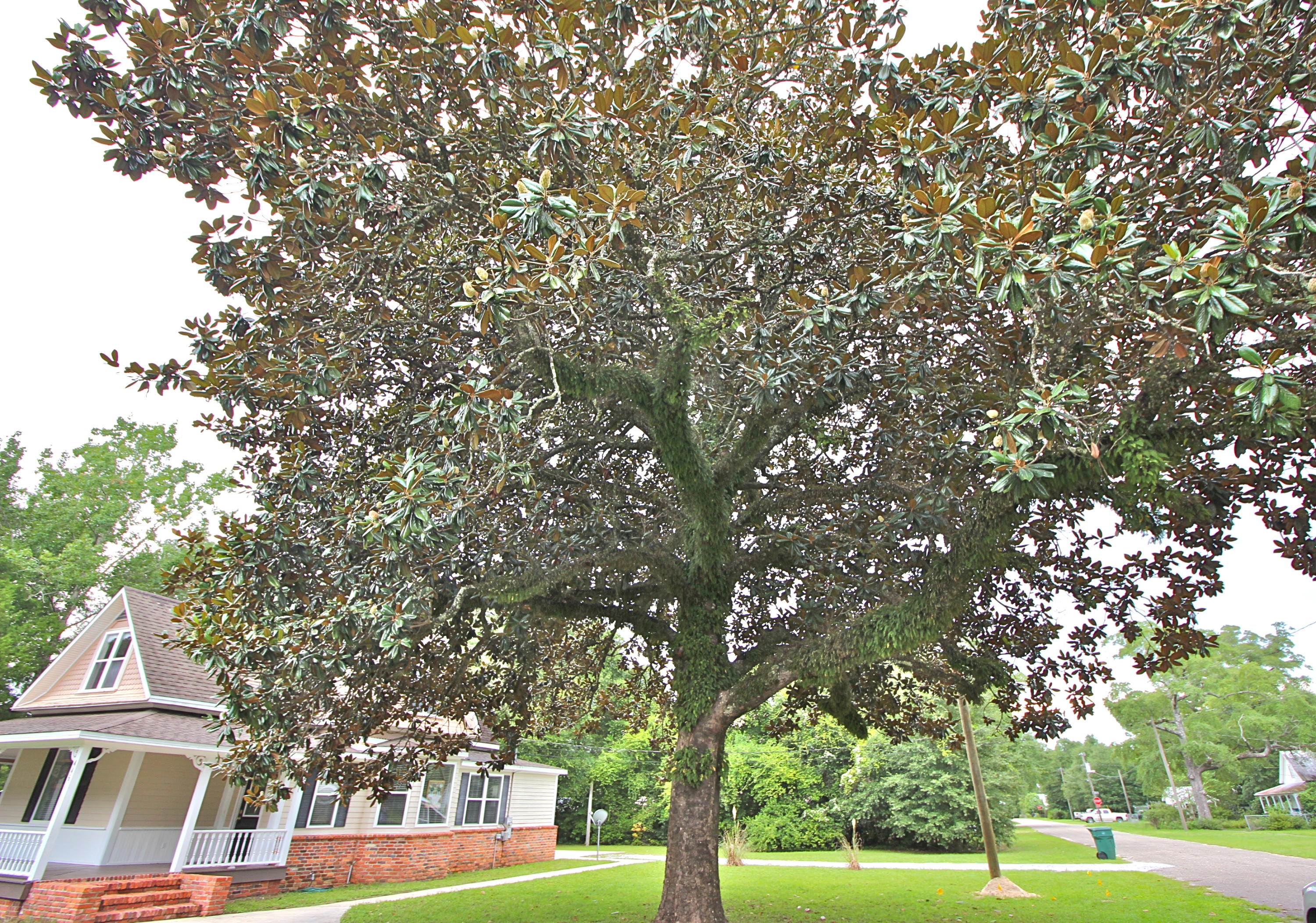 TOWN OF DEFUNIAK SPRINGS - Residential