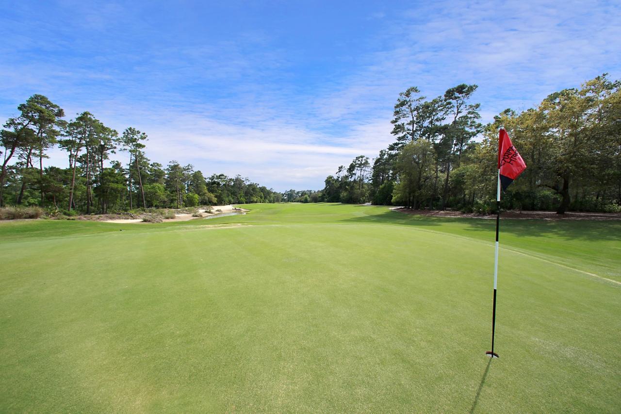 WILD HERON PHASE VIII - Residential