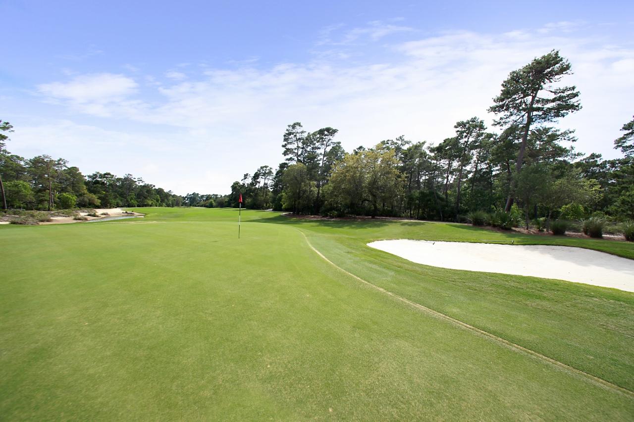 WILD HERON PHASE VIII - Residential