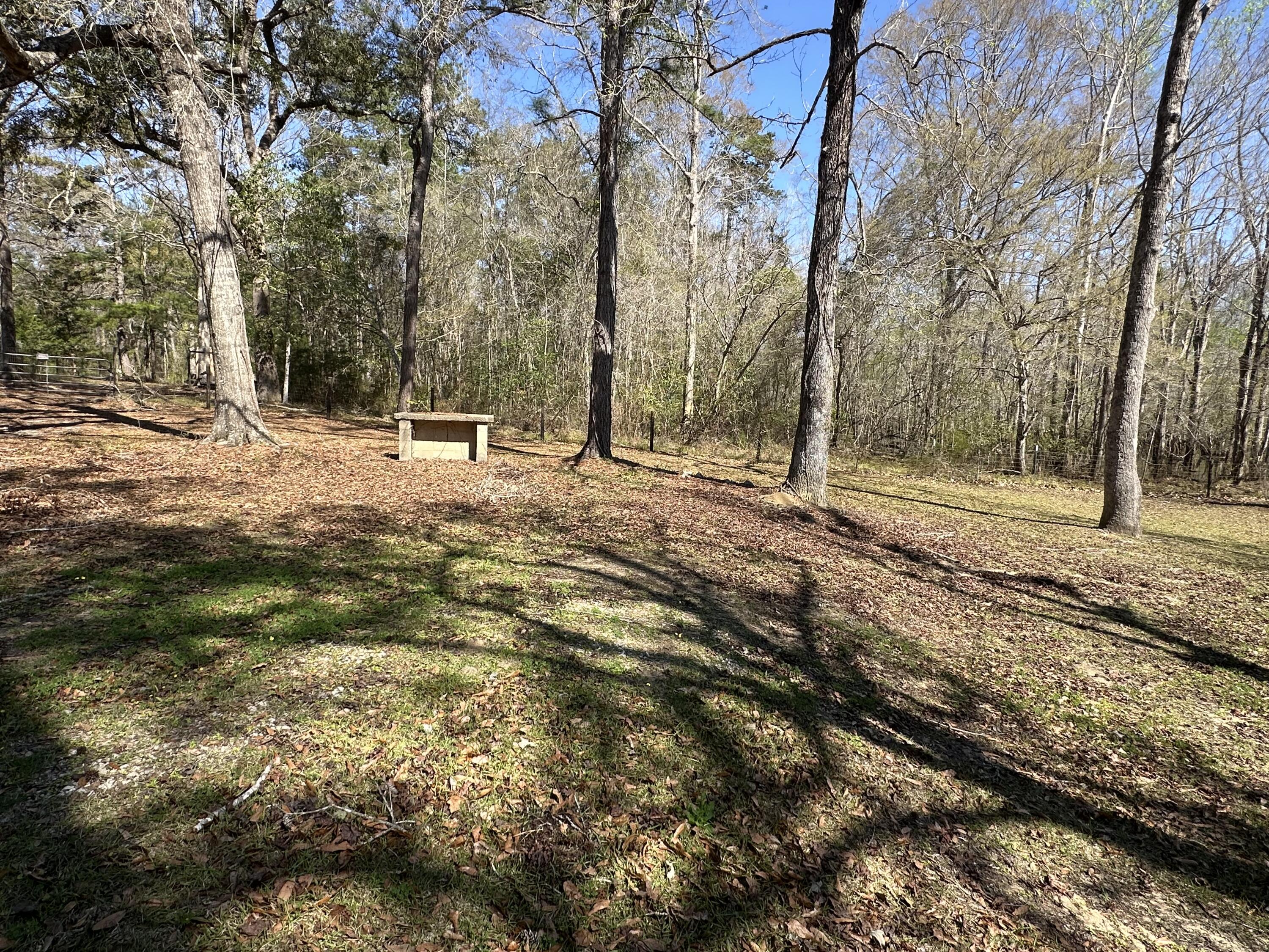 COON BOTTOM ESTATES - Land