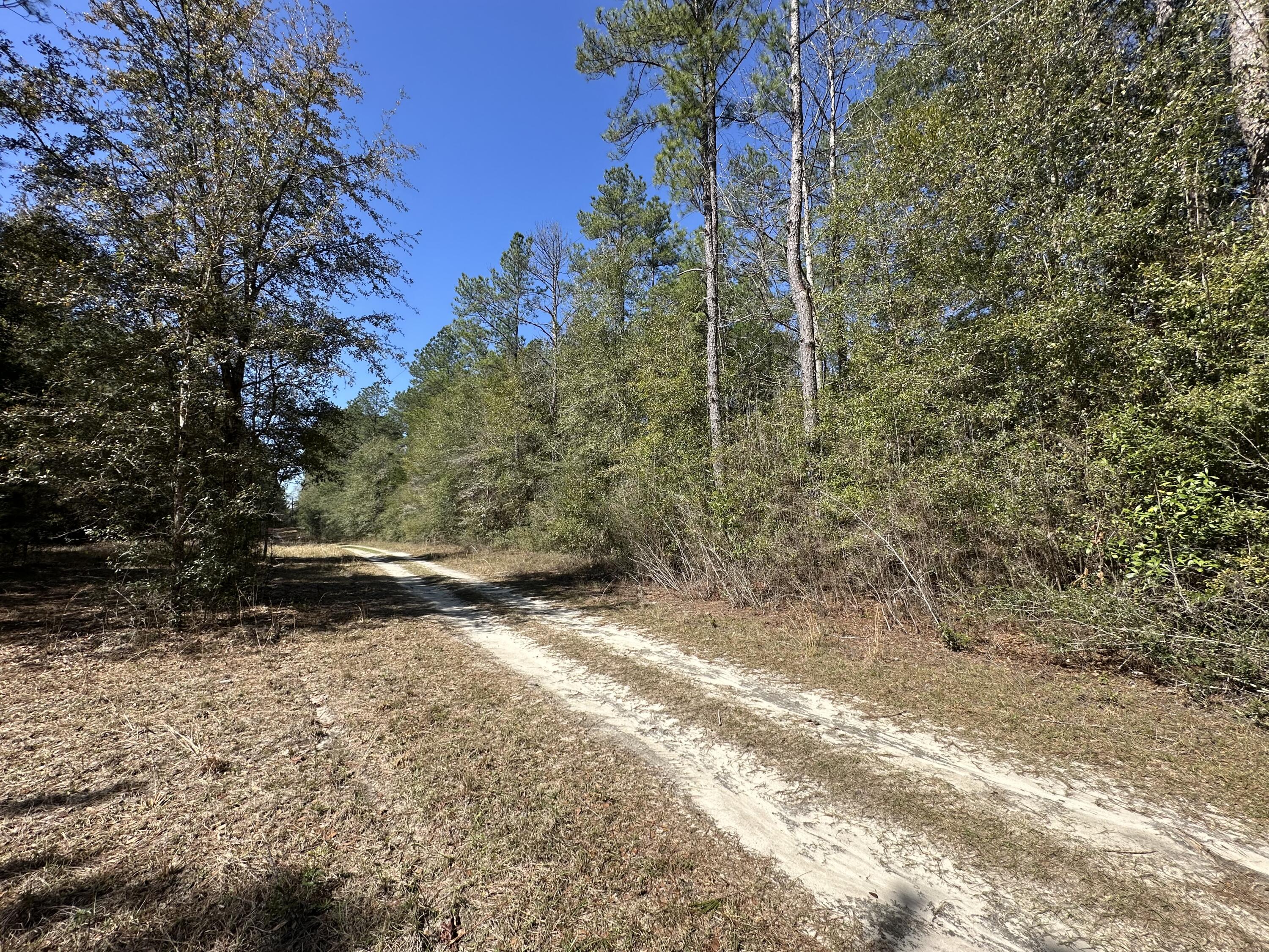 COON BOTTOM ESTATES - Land