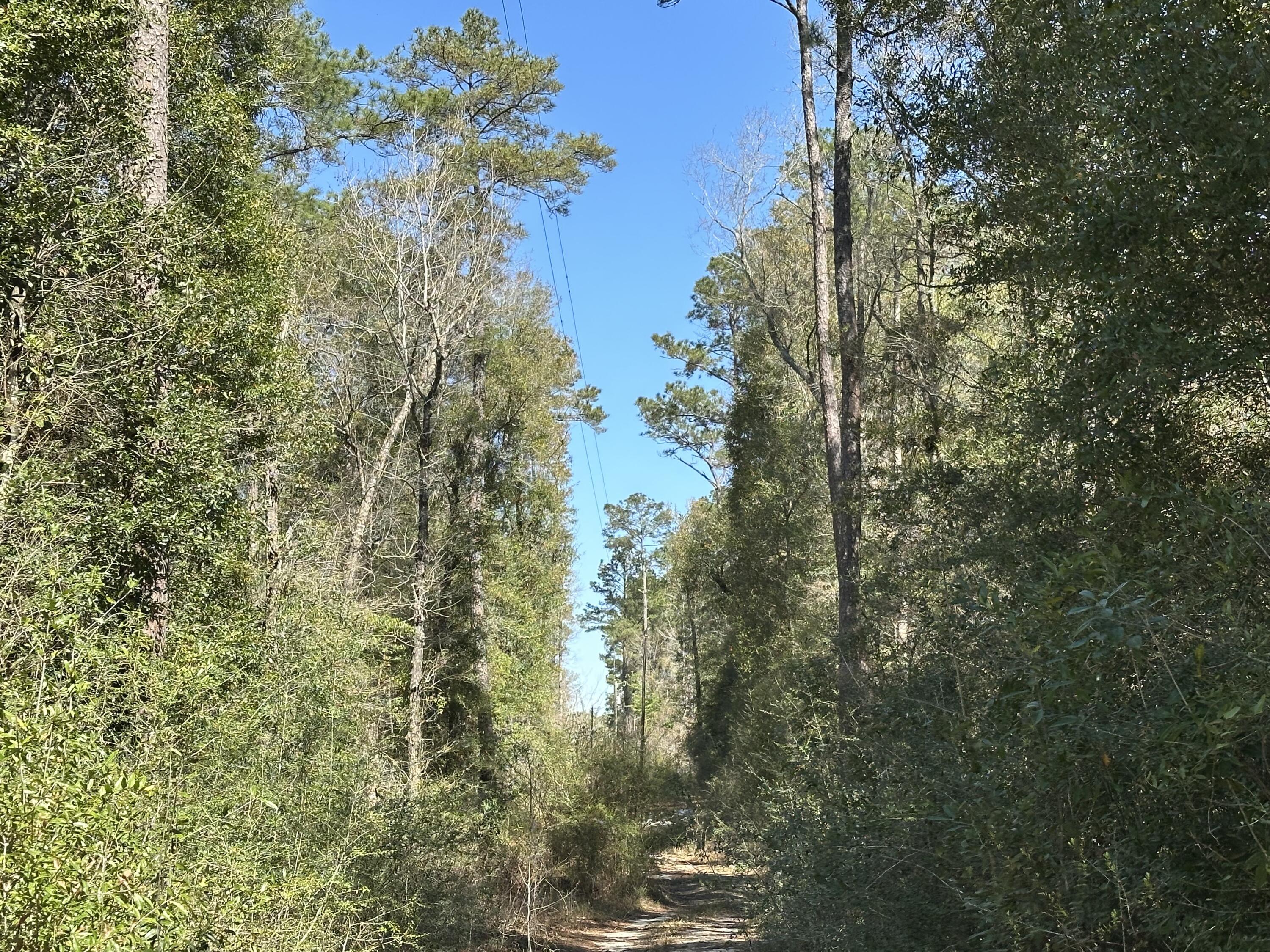 COON BOTTOM ESTATES - Land